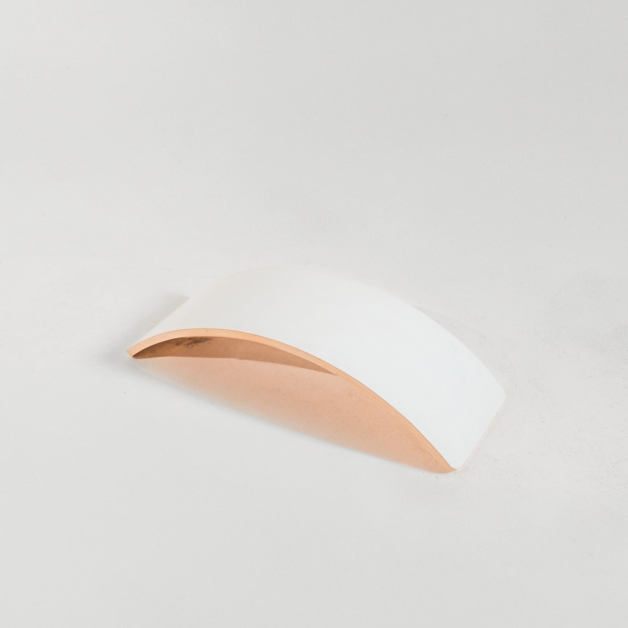 Kids playing with a wobble board