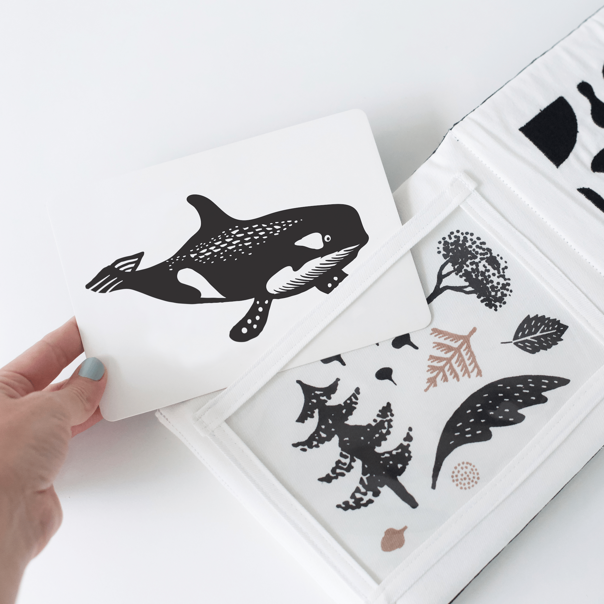 Newborn Baby Gift Set (Black + White)