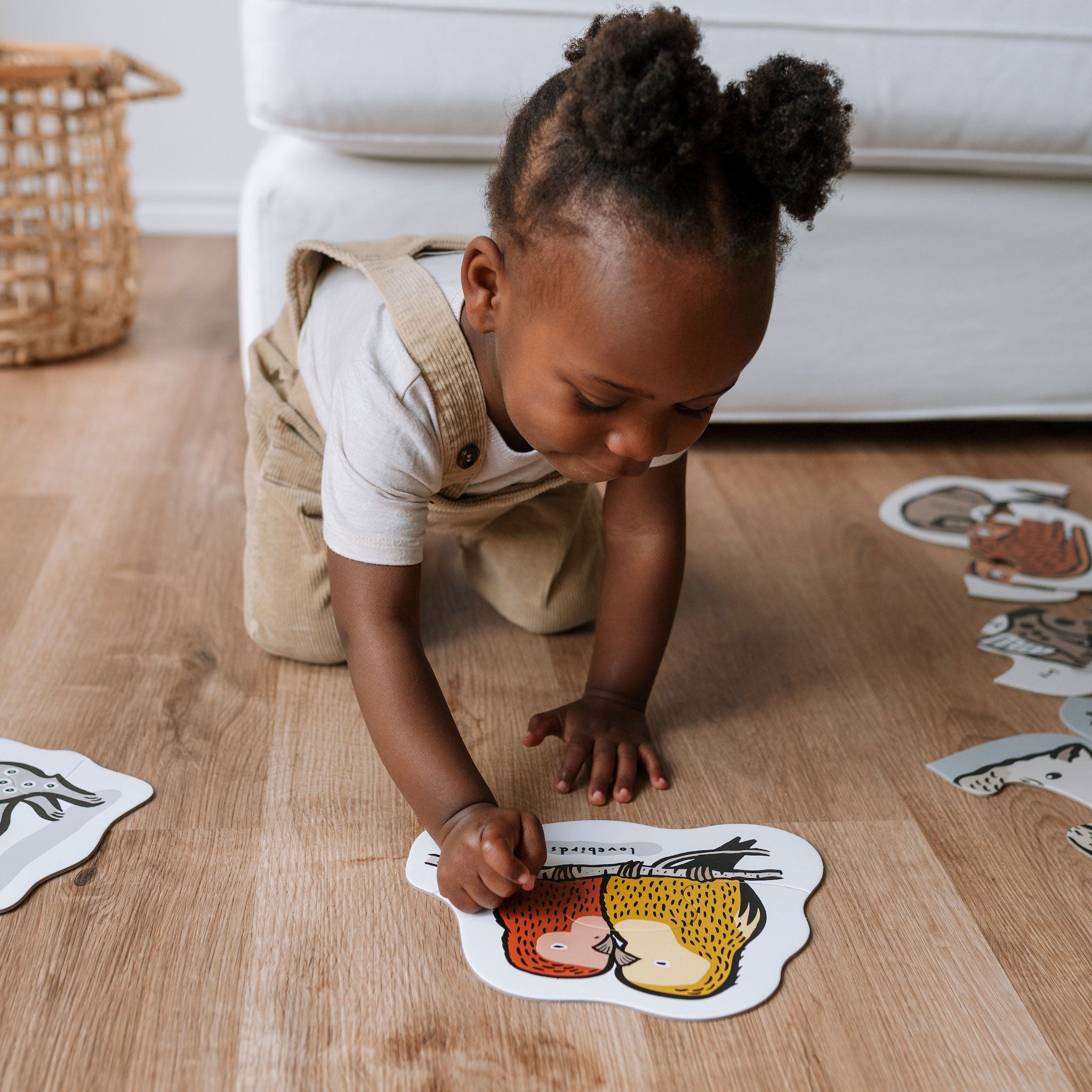 Beginner Puzzles (Pets)