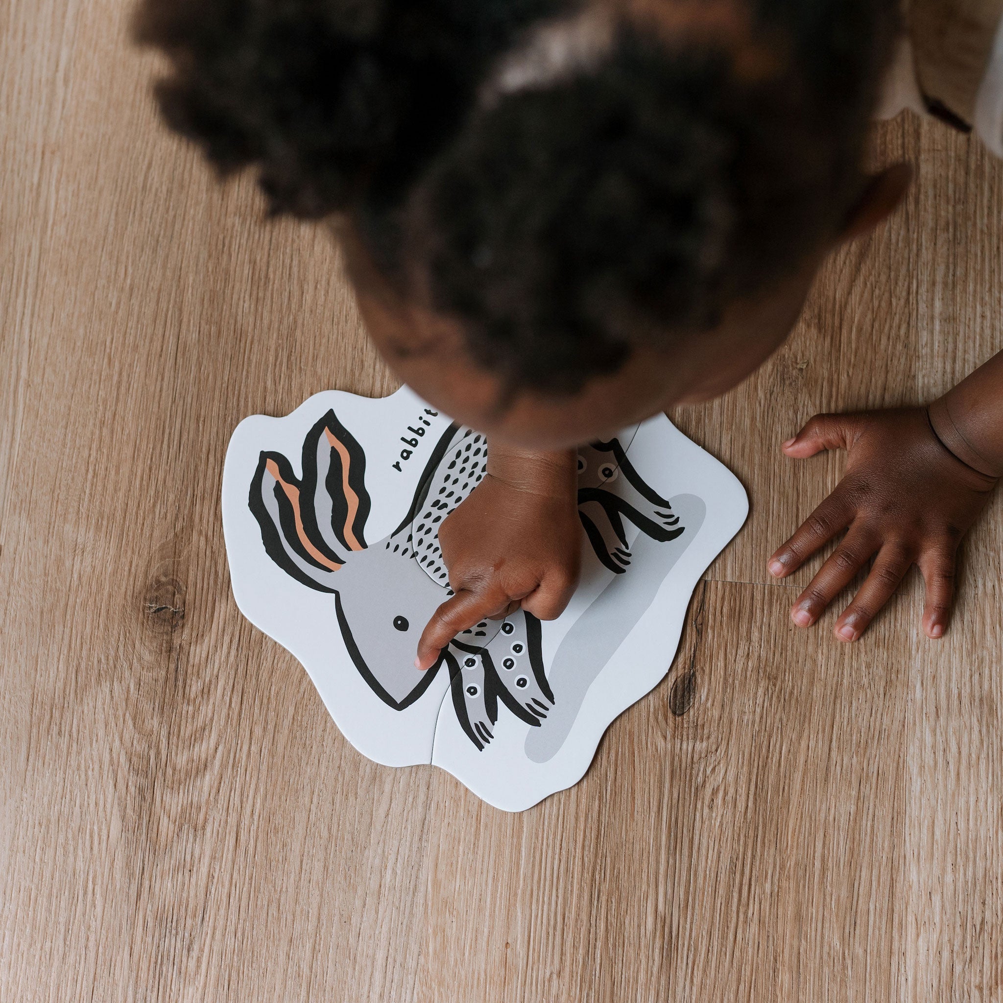 Beginner Puzzles (Pets)