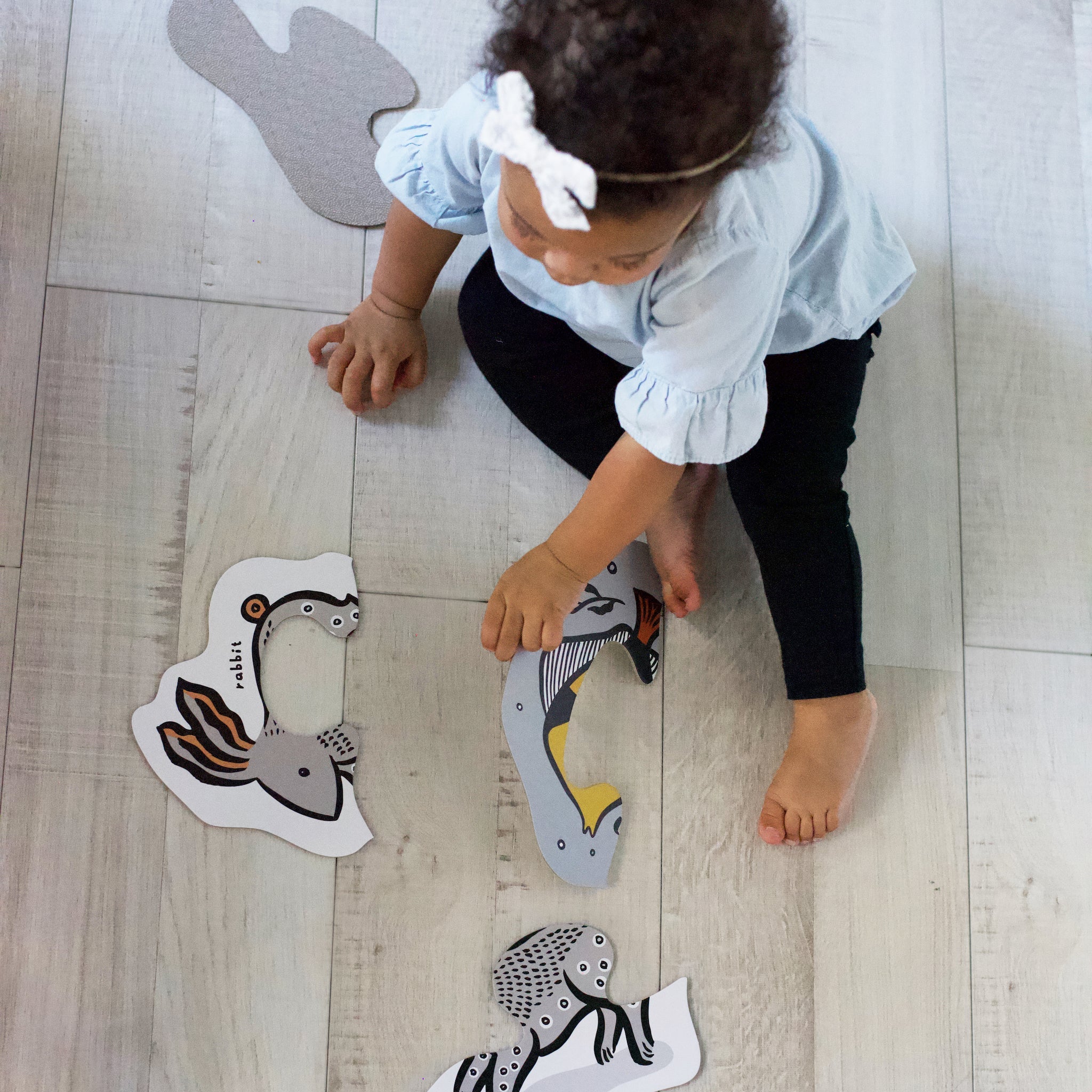 Beginner Puzzles (Pets)