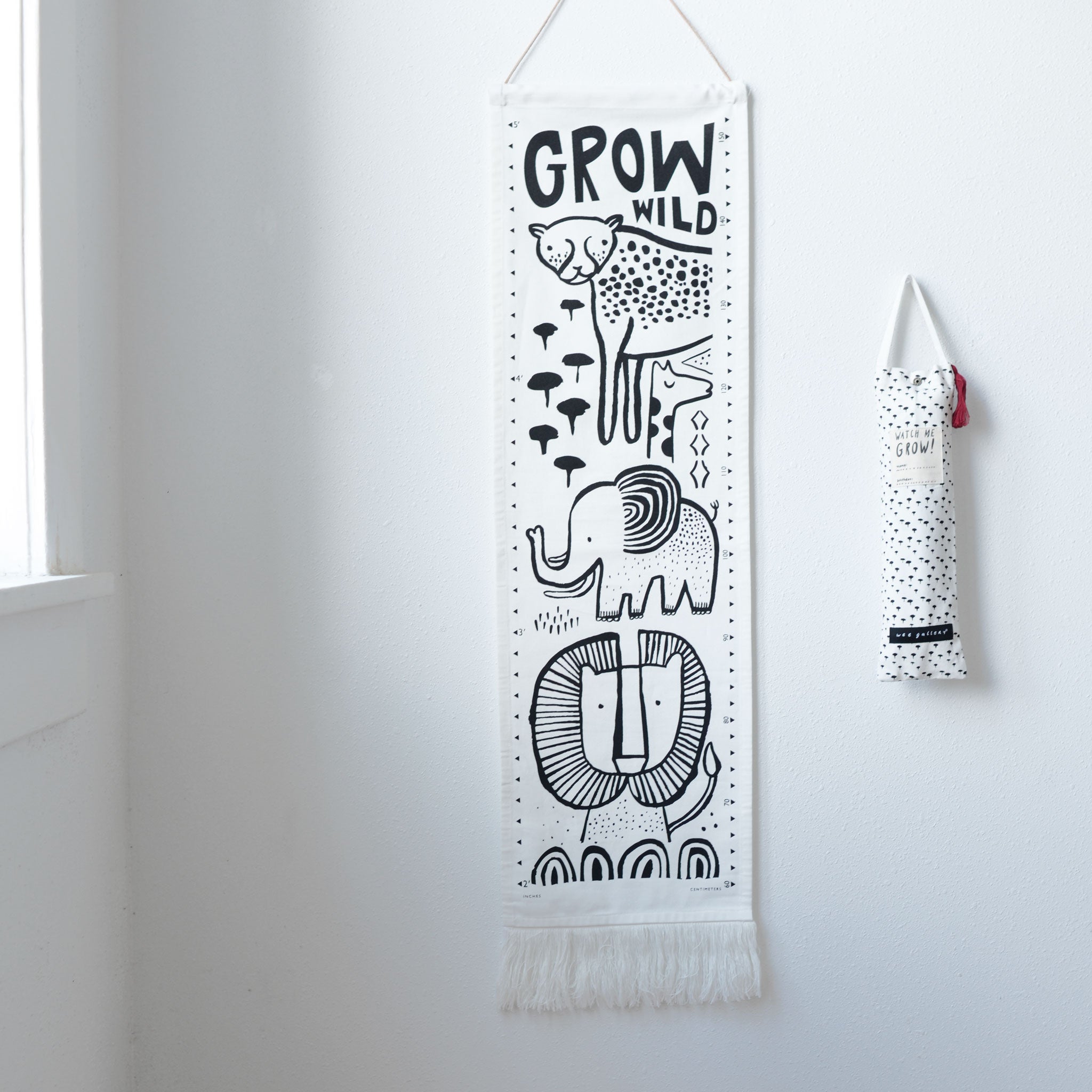 Canvas Growth Chart (Safari)