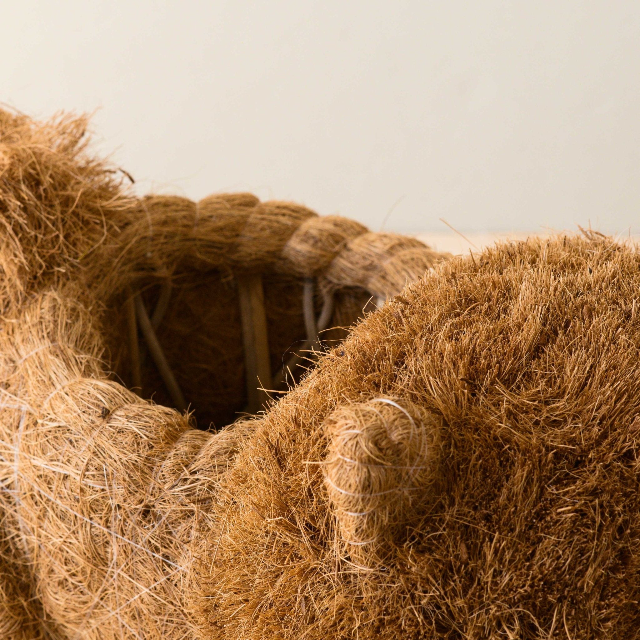 - Chow Chow Planter - Dog Plant Pot | LIKHA - LIKHÂ