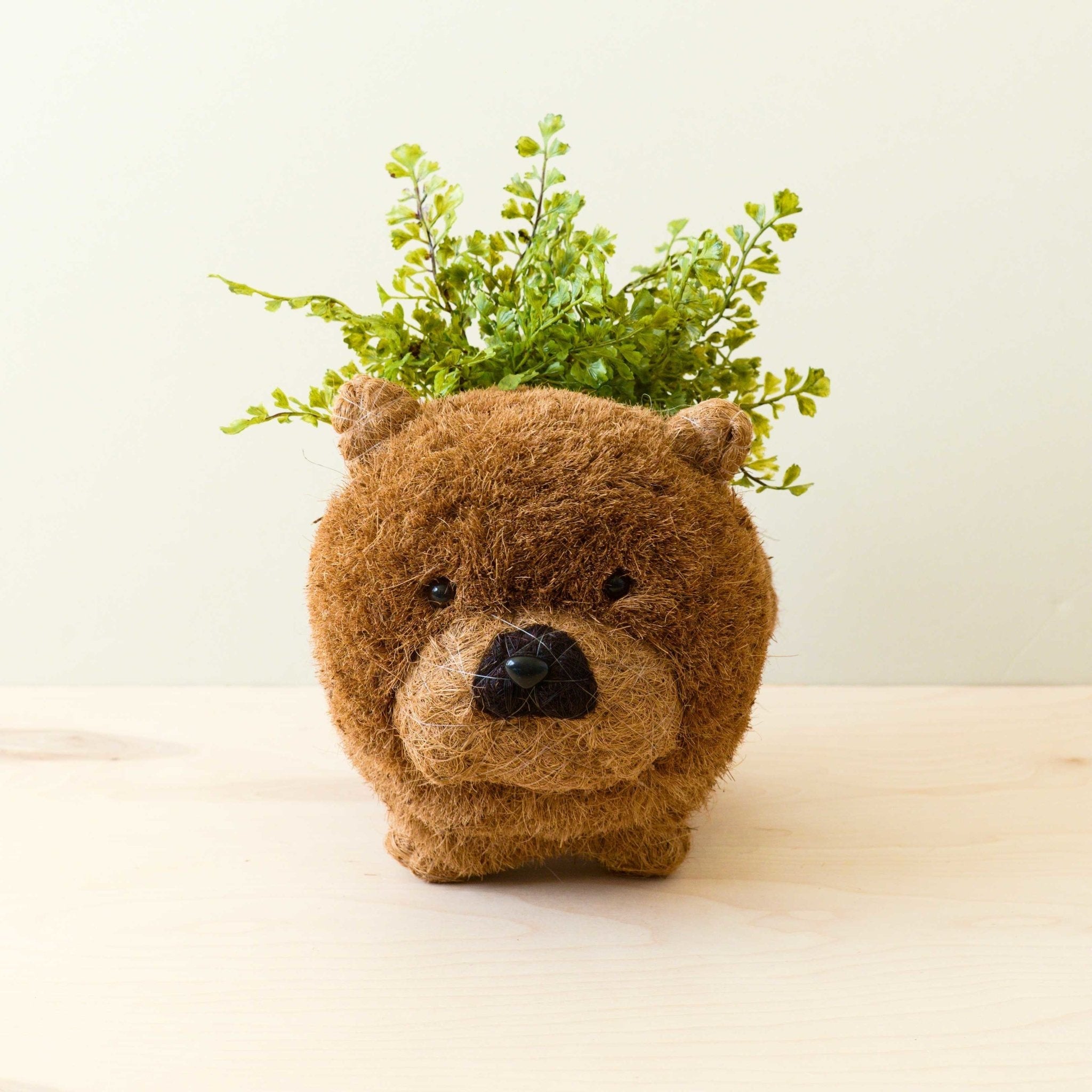 - Chow Chow Planter - Dog Plant Pot | LIKHA - LIKHÂ