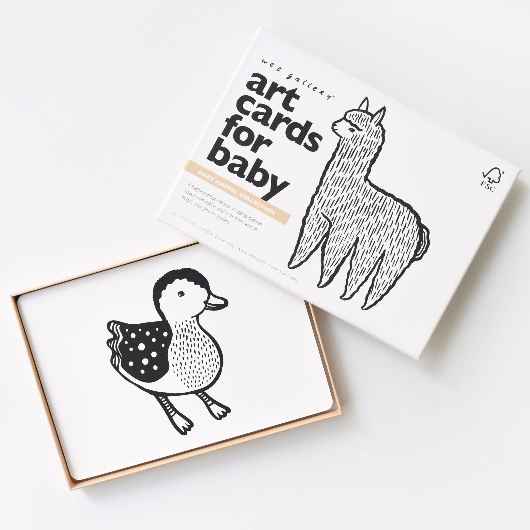 Art Cards for Baby (Baby Animals Collection)