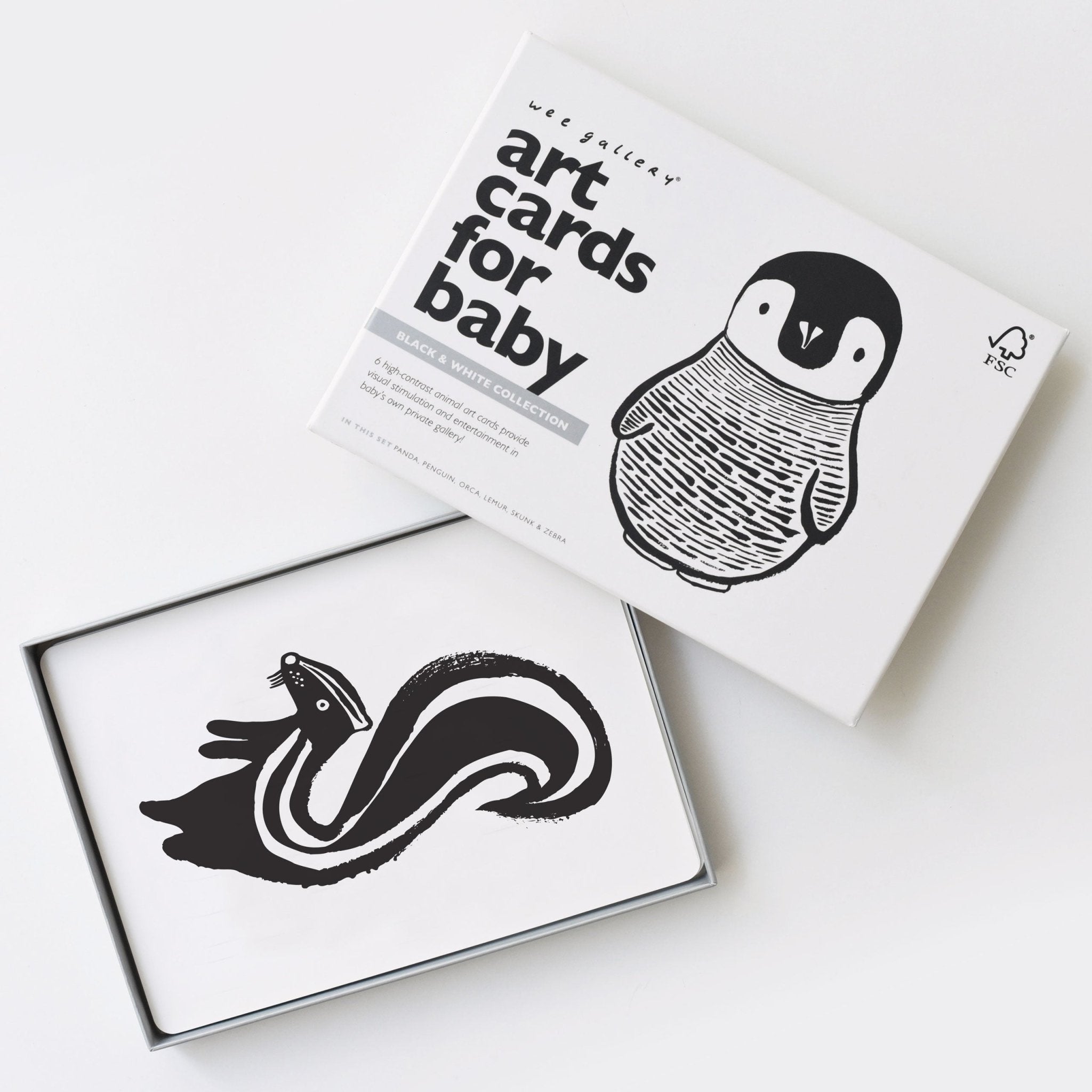 Art Cards for Baby (Black and White Collection)
