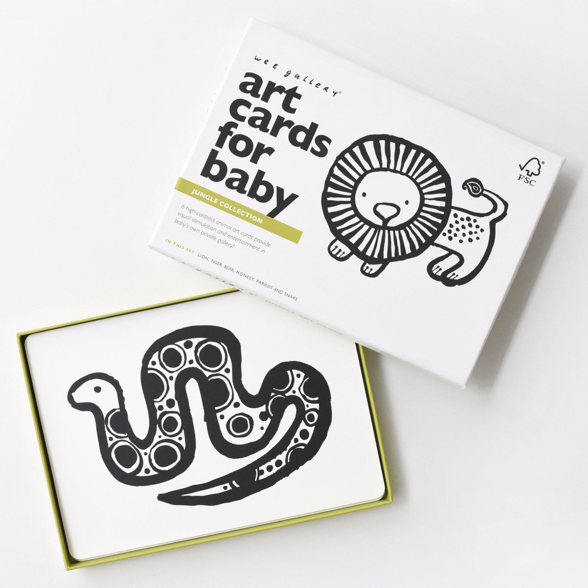 Art Cards for Baby (Jungle Collection)