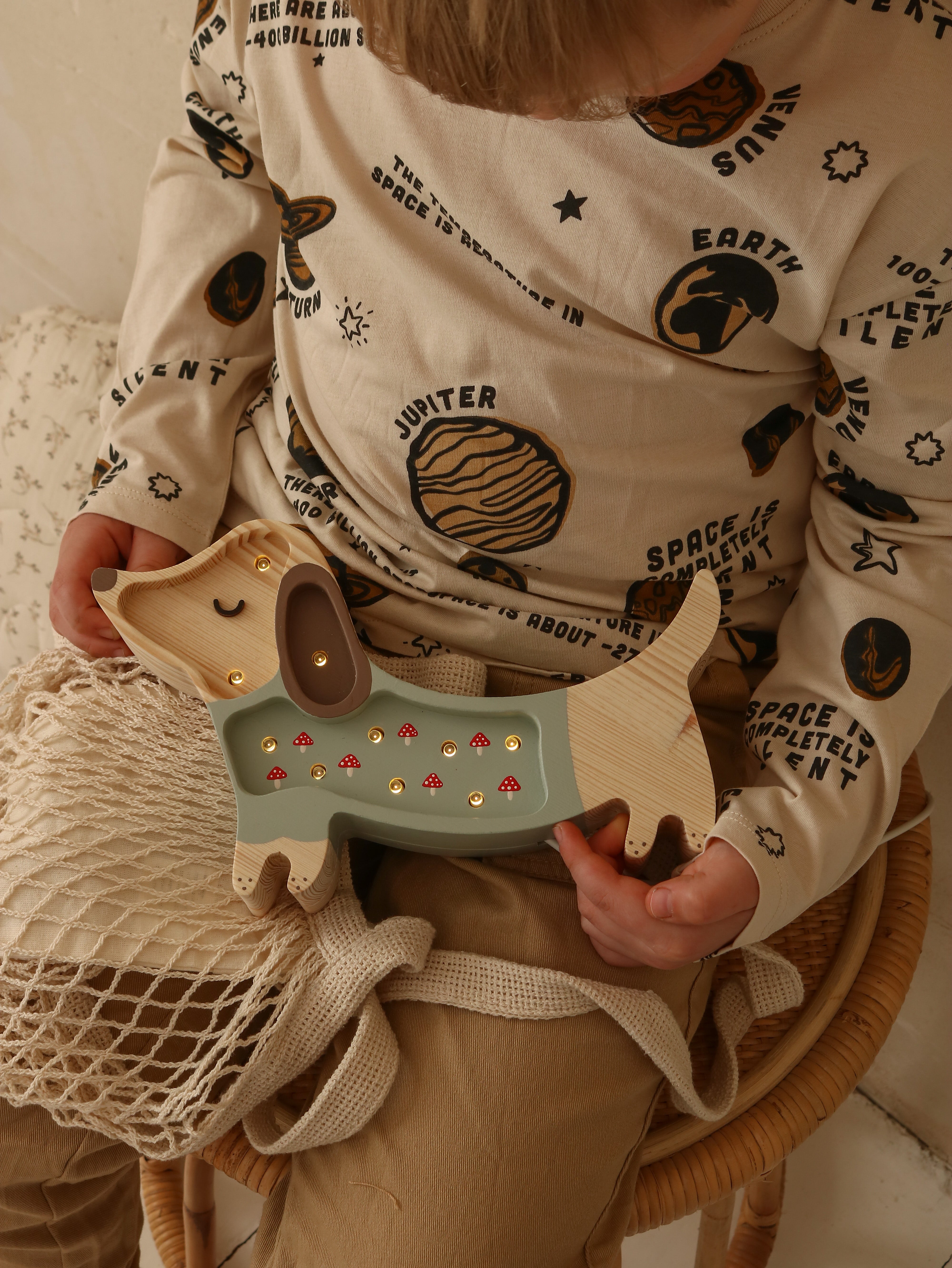 Little Lights Mushrooms on Green Mini Puppy Lamp — wooden LED night light, sweet gift for babies and toddlers