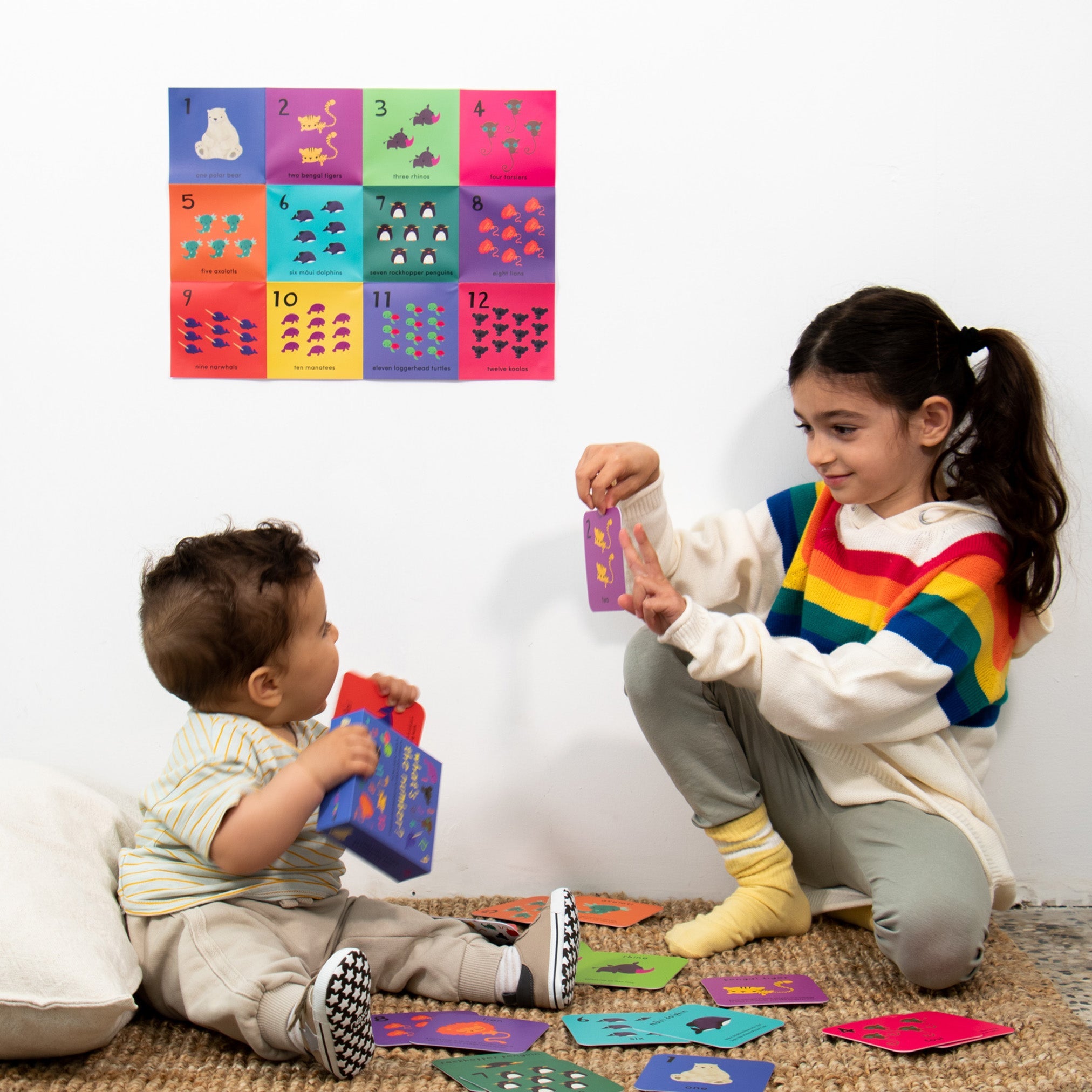 What's the Number? (Number Flashcards)