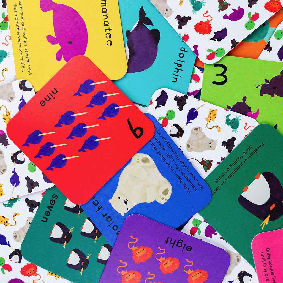 What's the Number? (Number Flashcards)