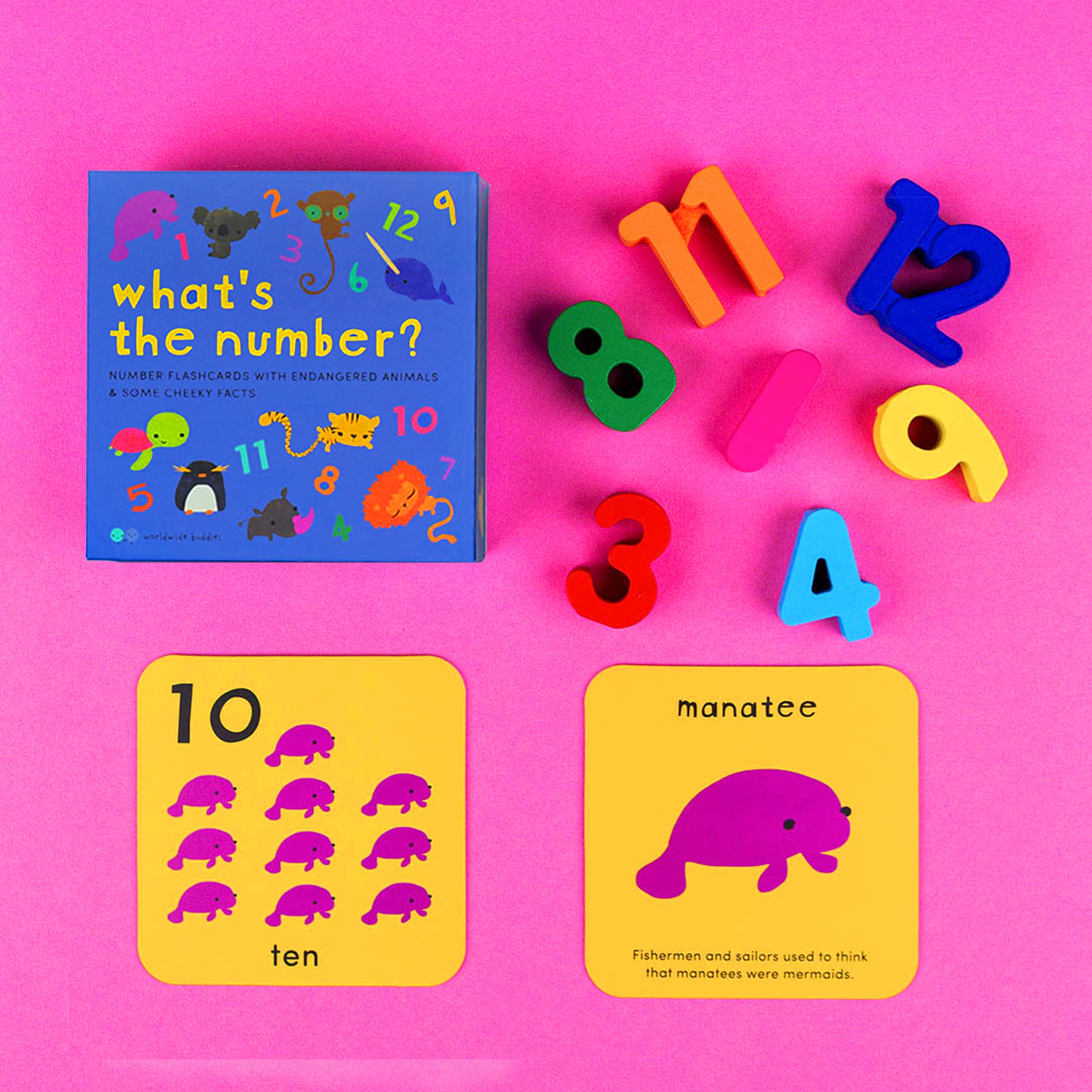 What's the Number? (Number Flashcards)