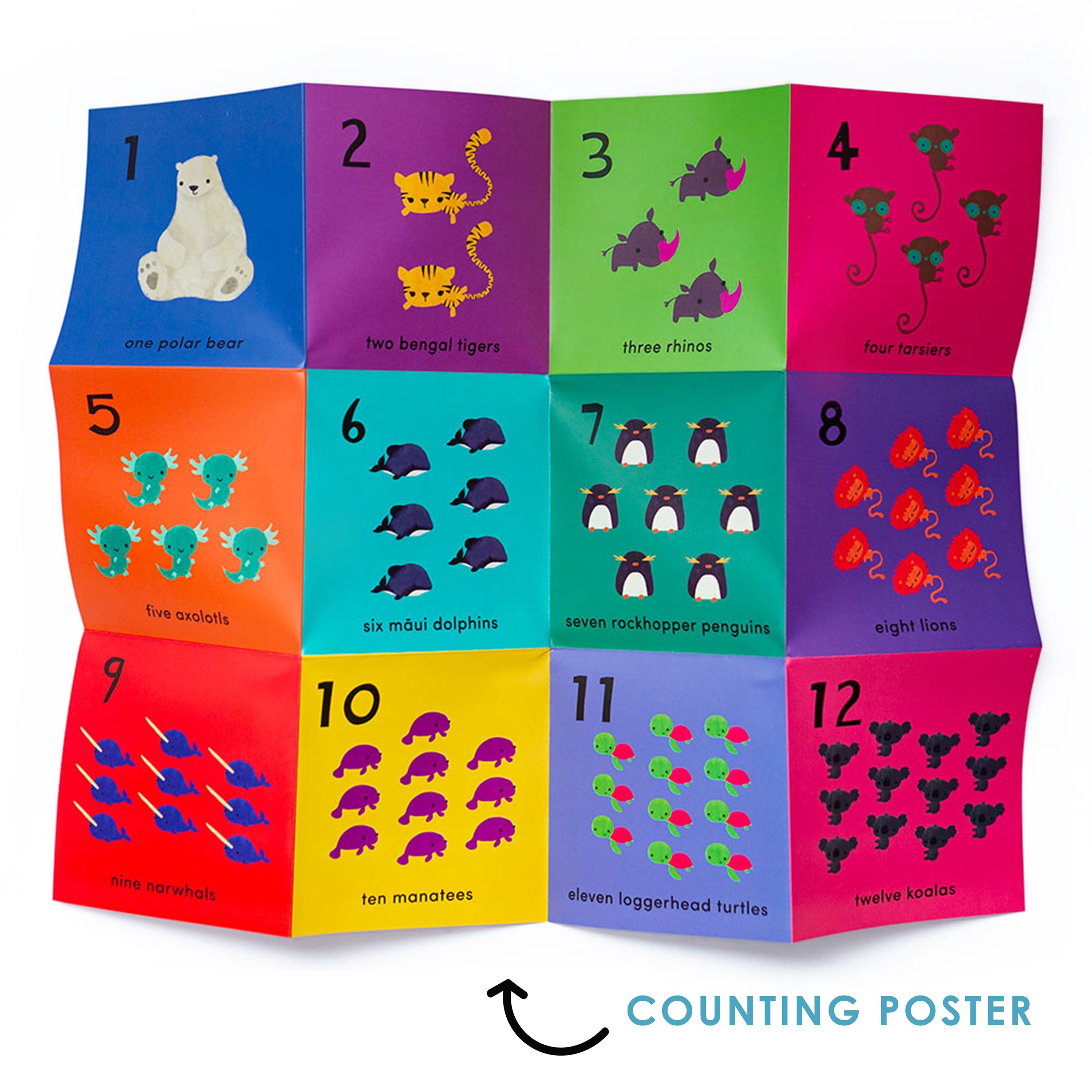 What's the Number? (Number Flashcards)