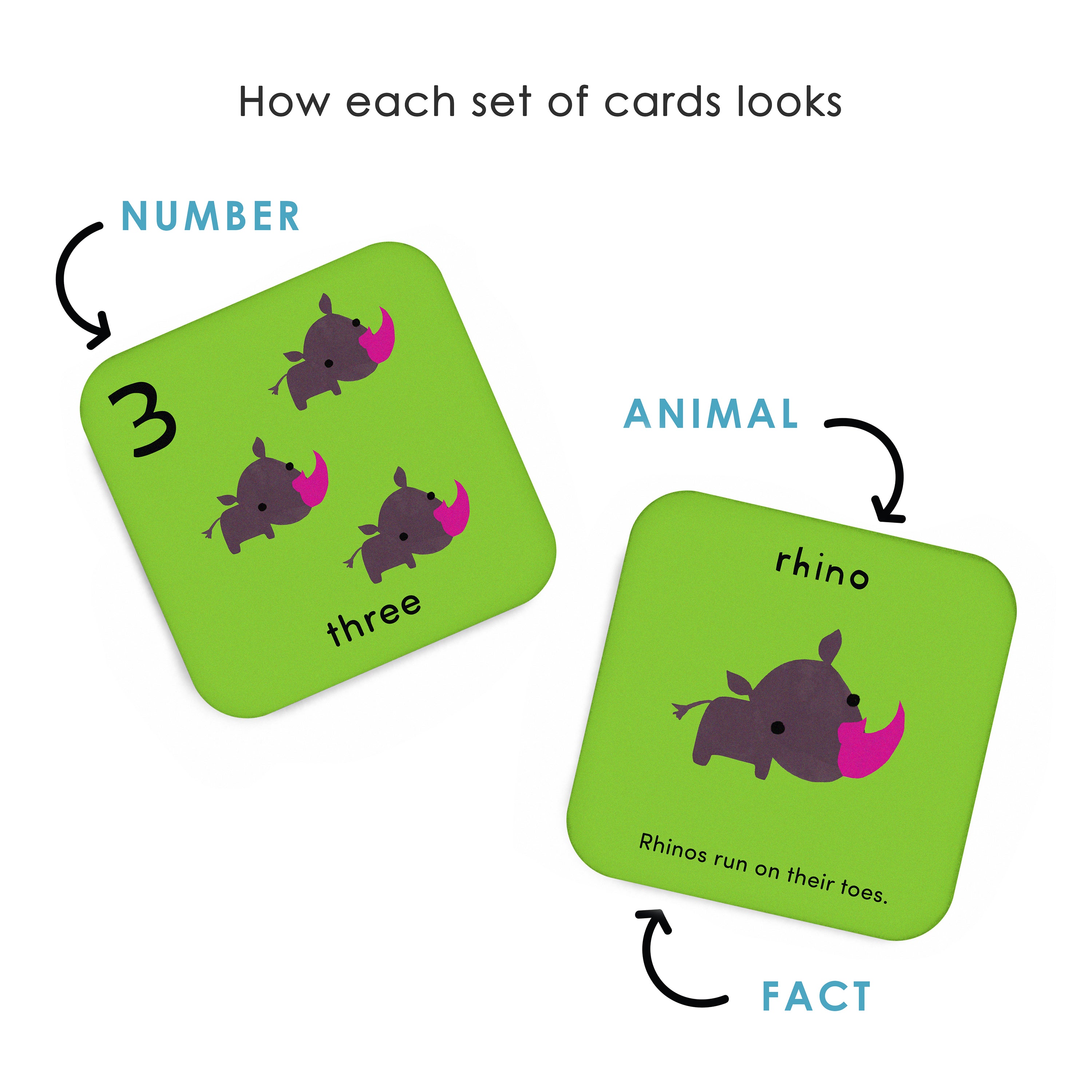 What's the Number? (Number Flashcards)