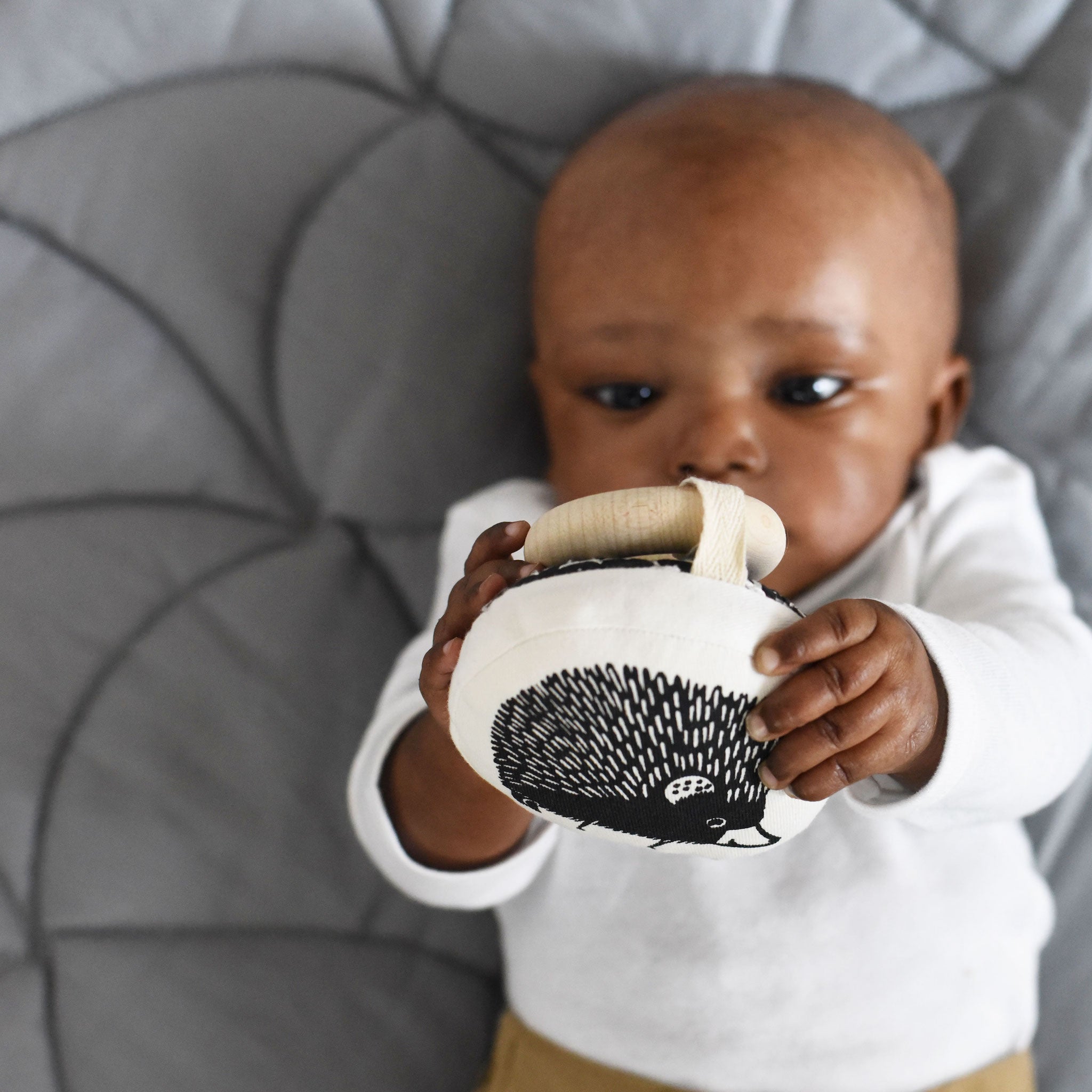 Organic Teether (Hedgehog)