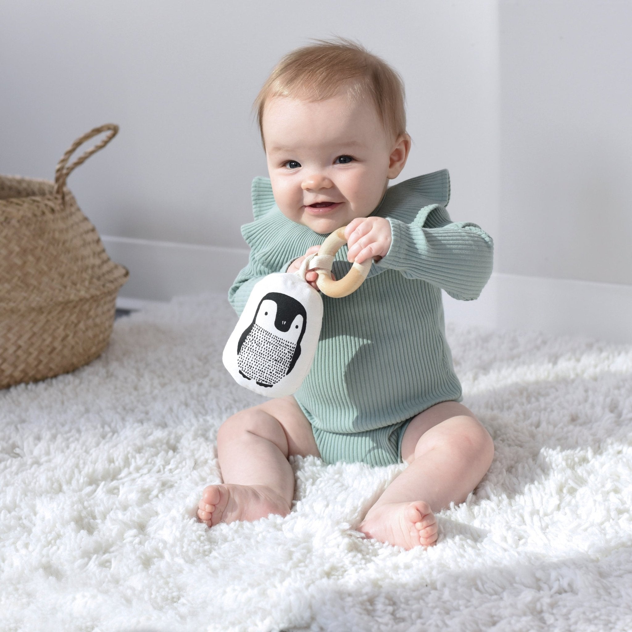 Newborn Baby Gift Set (Baby Animals)