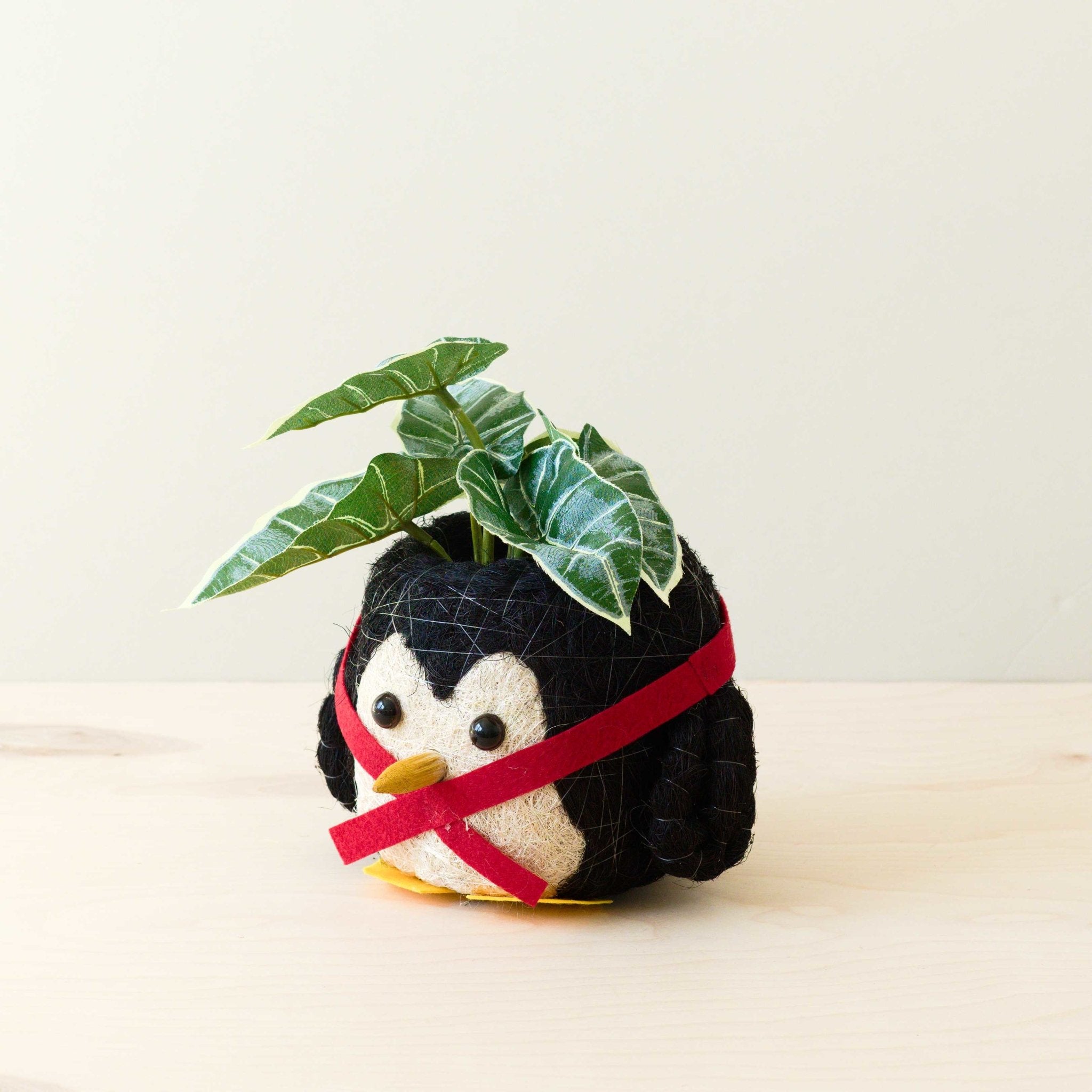 - Penguin Planter - Coco Coir Pot | LIKHA - LIKHÂ