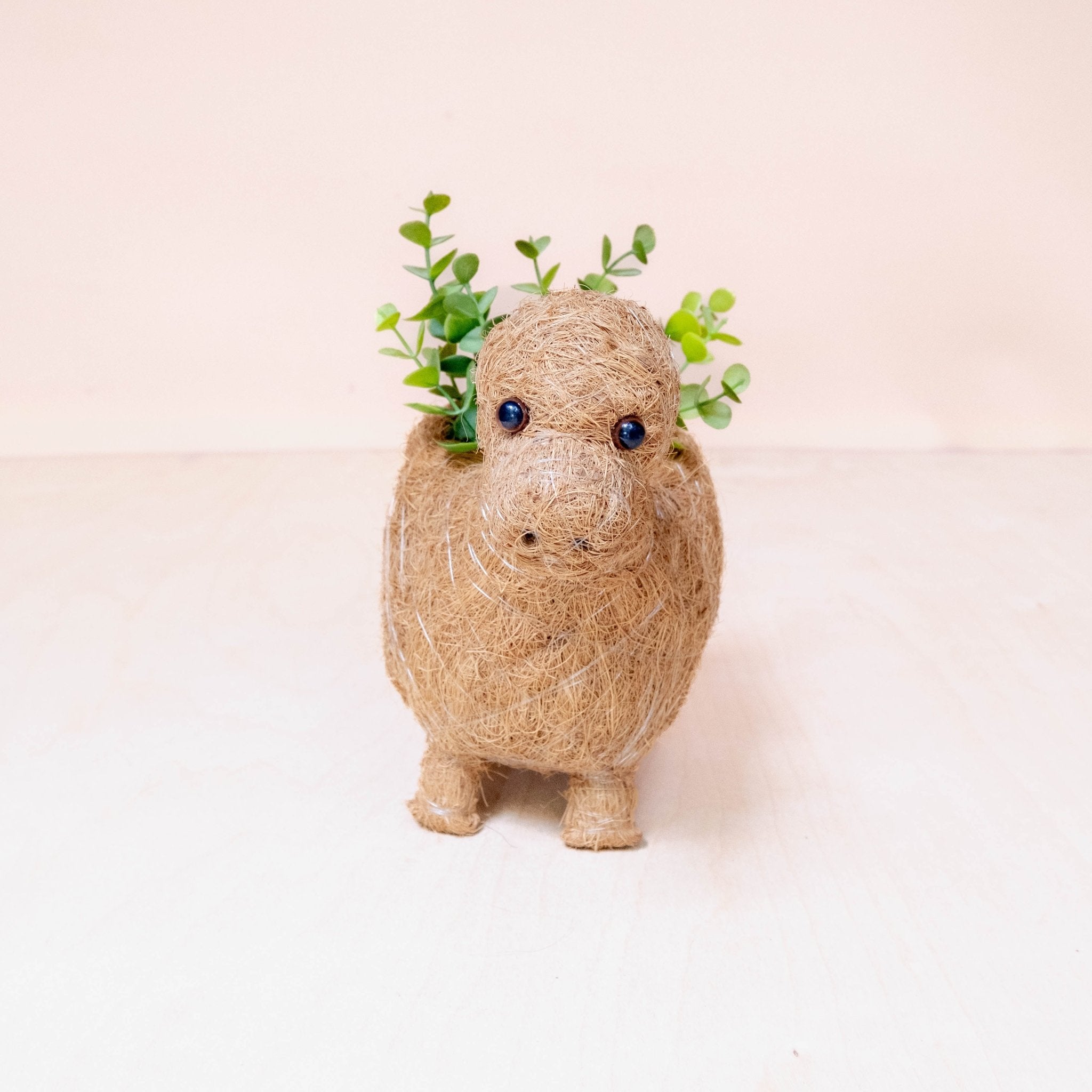 Planters - Baby Brontosaurus Planter - Handmade Pots | LIKHÂ - LIKHÂ