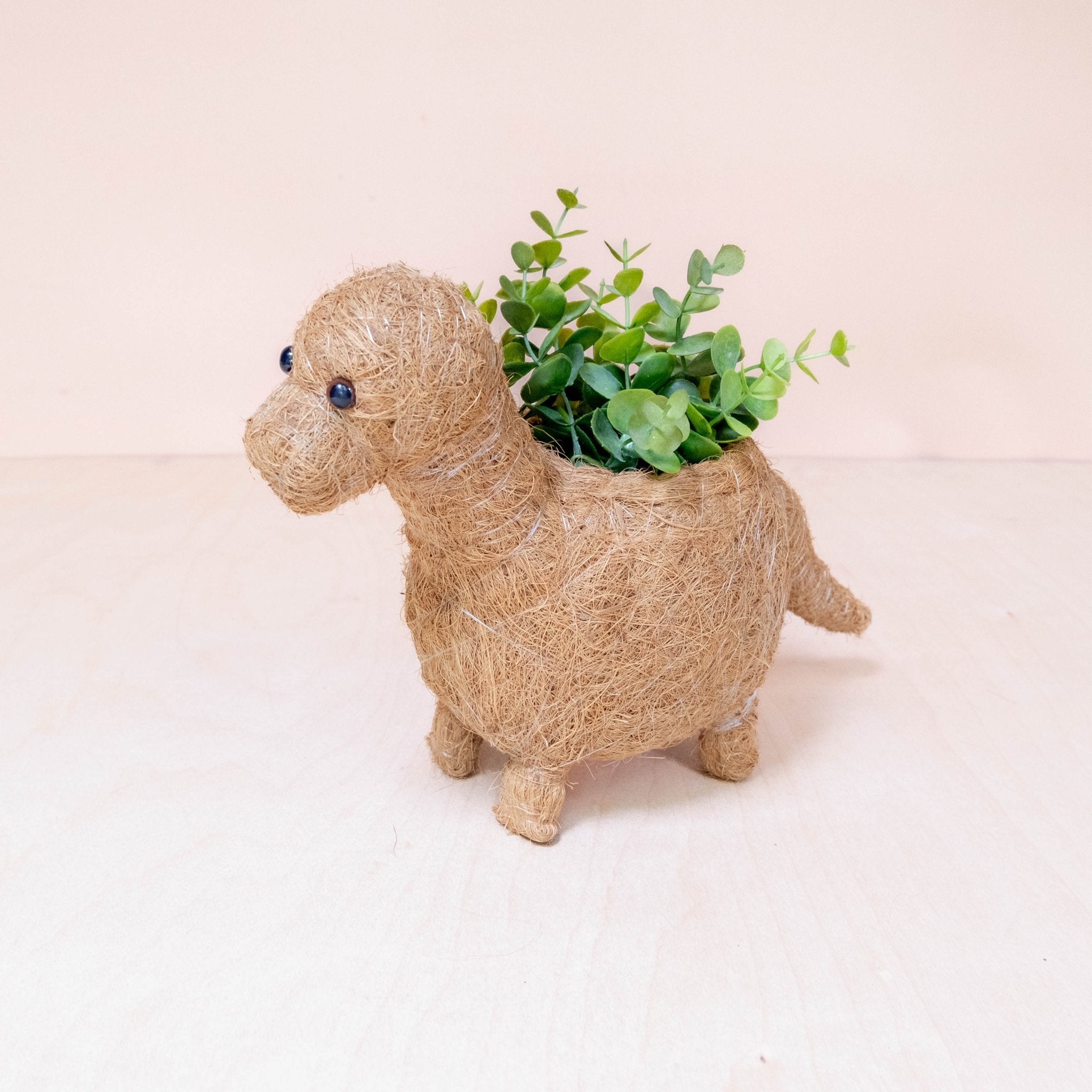 Planters - Baby Brontosaurus Planter - Handmade Pots | LIKHÂ - LIKHÂ
