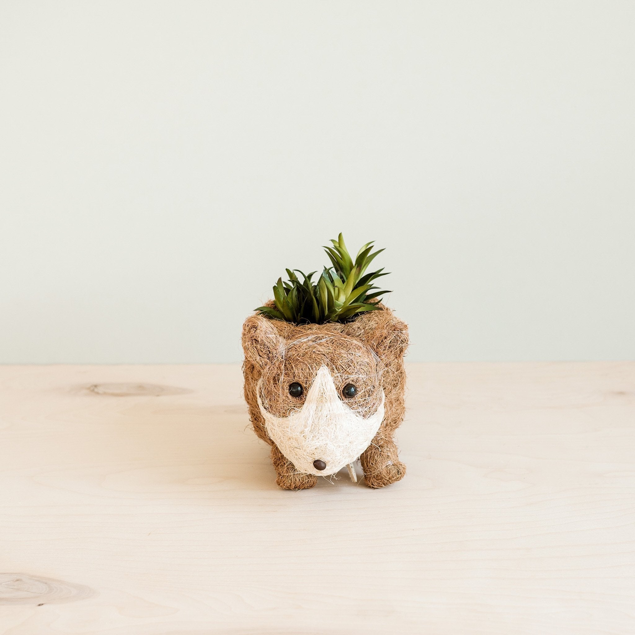 Planters - Baby Corgi Succulent Pot - Handmade Planters | LIKHÂ - LIKHÂ