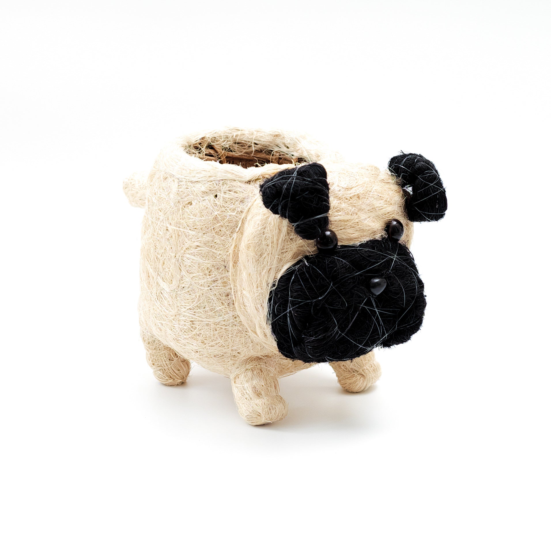 Planters - Baby Pug Planter - Coco Coir Pots | LIKHÂ - LIKHÂ