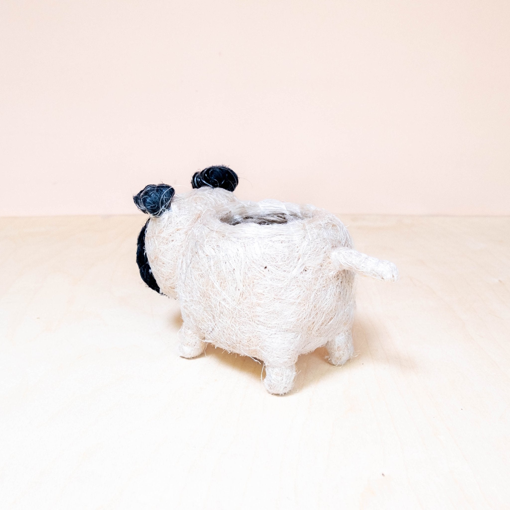 Planters - Baby Pug Planter - Coco Coir Pots | LIKHÂ - LIKHÂ