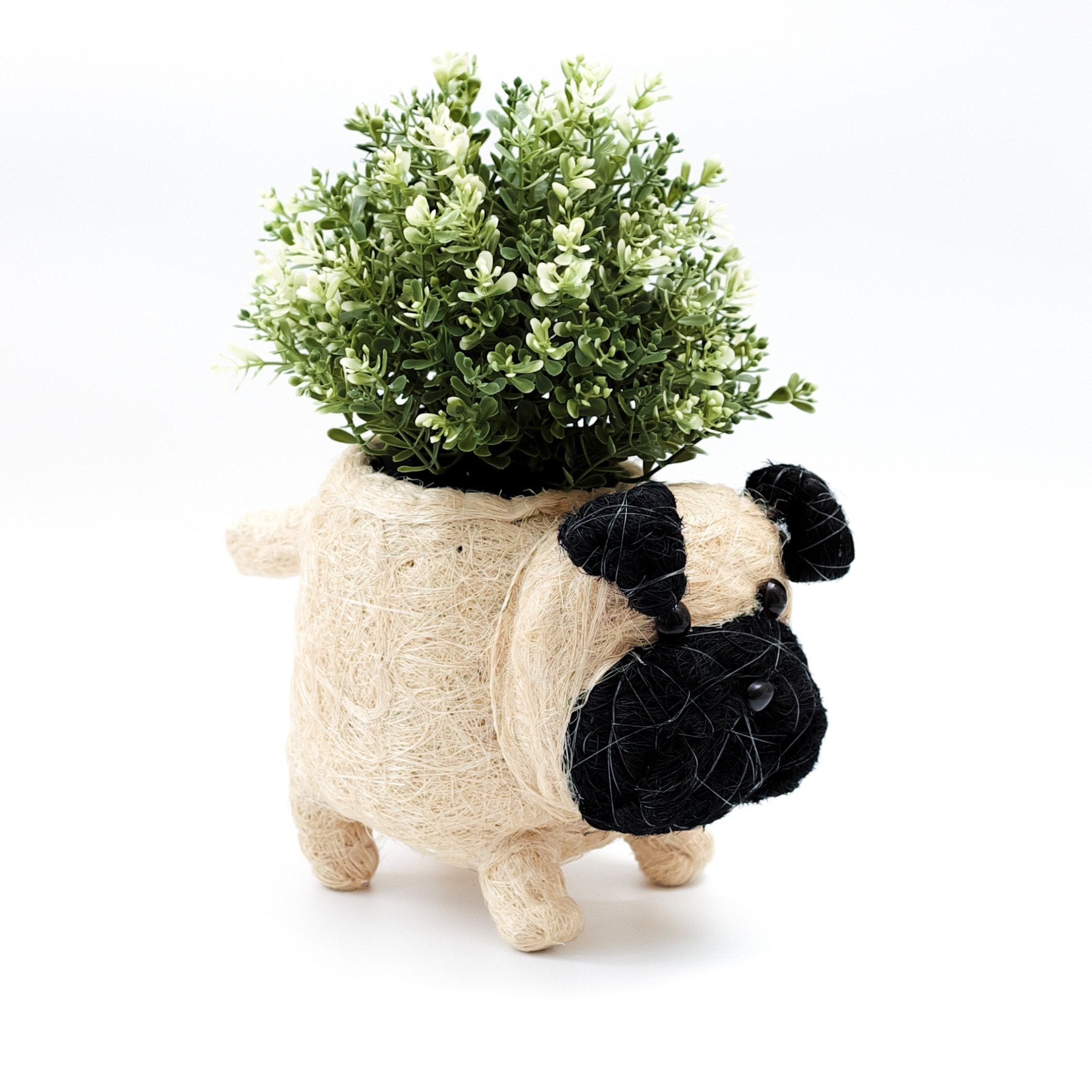 Planters - Baby Pug Planter - Coco Coir Pots | LIKHÂ - LIKHÂ