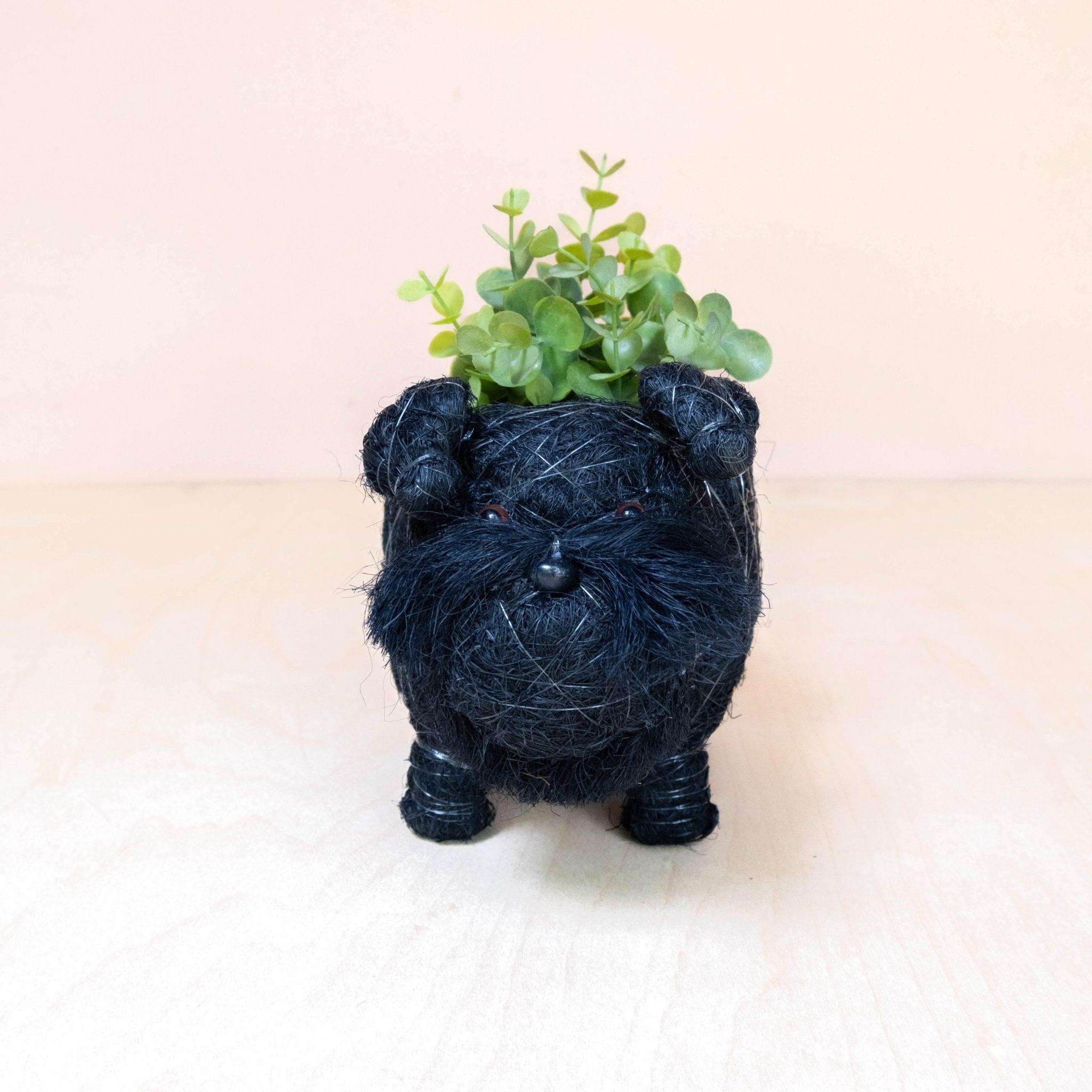 Planters - Baby Schnauzer Planter - Coco Coir Planter | LIKHÂ - LIKHÂ