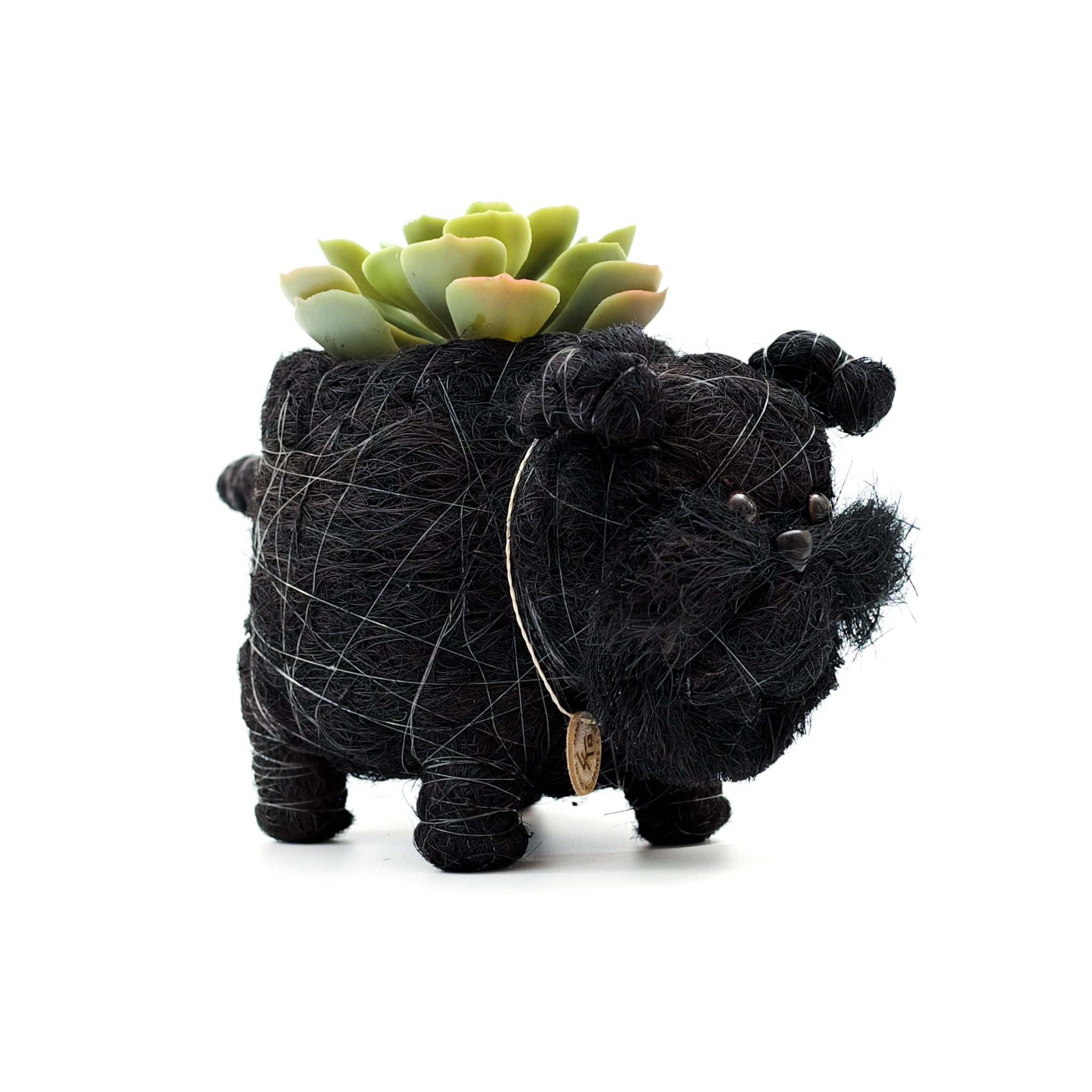 Planters - Baby Schnauzer Planter - Coco Coir Planter | LIKHÂ - LIKHÂ