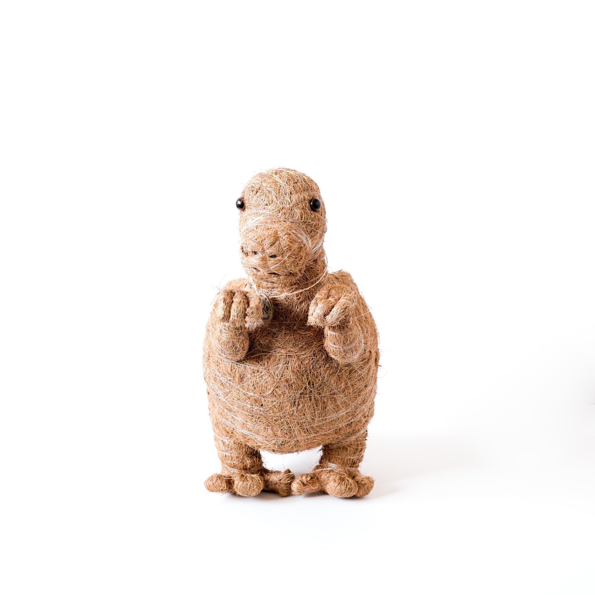 Planters - Baby T - Rex Planter - Handcrafted Pots | LIKHÂ - LIKHÂ