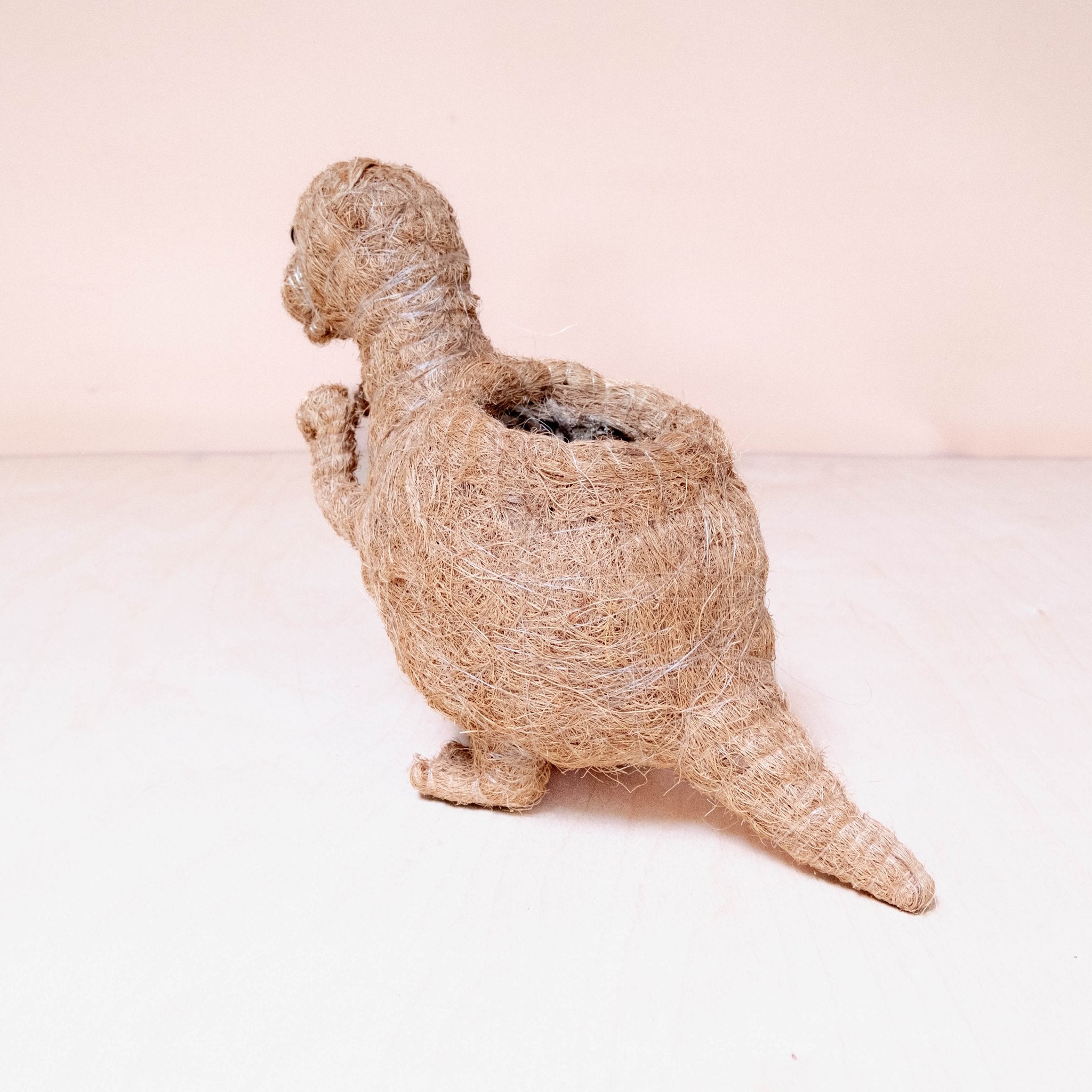 Planters - Baby T - Rex Planter - Handcrafted Pots | LIKHÂ - LIKHÂ