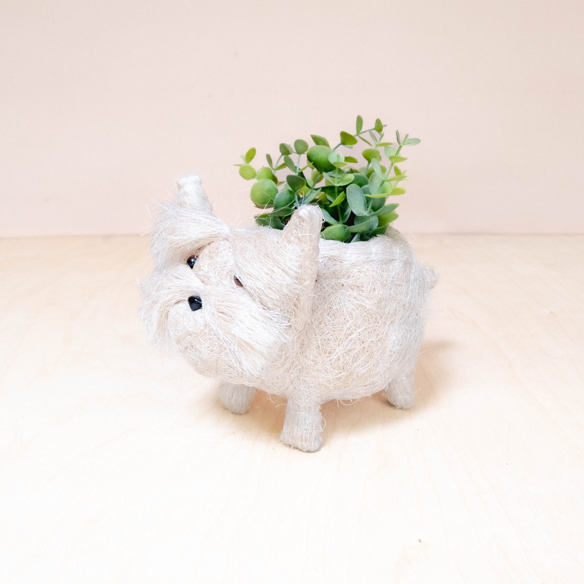 Planters - Baby Westie Planter - Handmade Pots | LIKHÂ - LIKHÂ