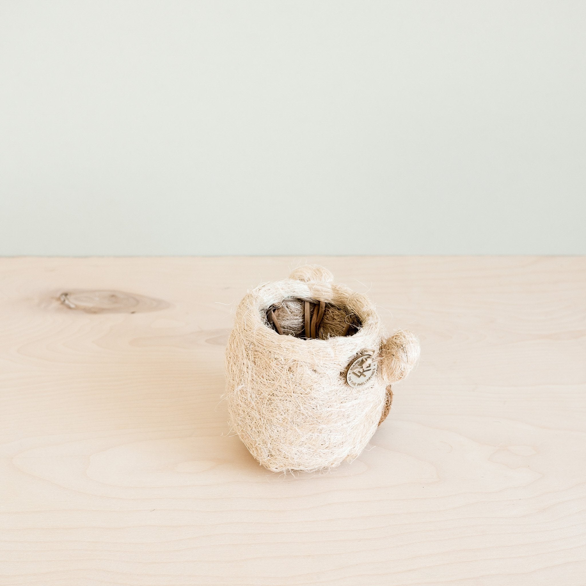 Planters - Bear Planter - Animal Head Planters | LIKHÂ - LIKHÂ