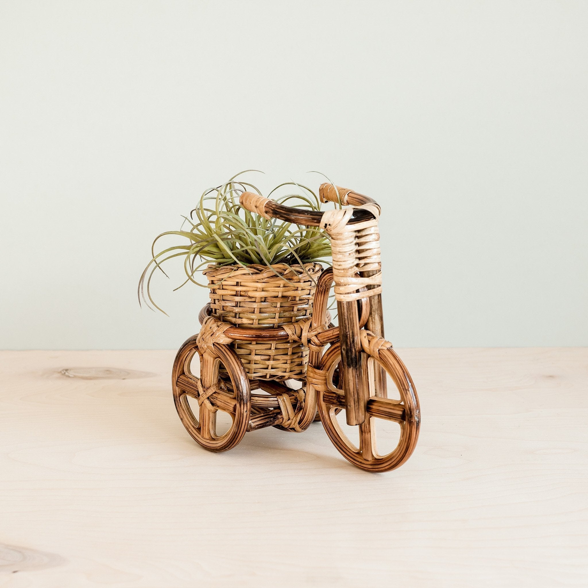 Planters - Bicycle Rattan Planter, medium - Handmade Planters | LIKHÂ - LIKHÂ