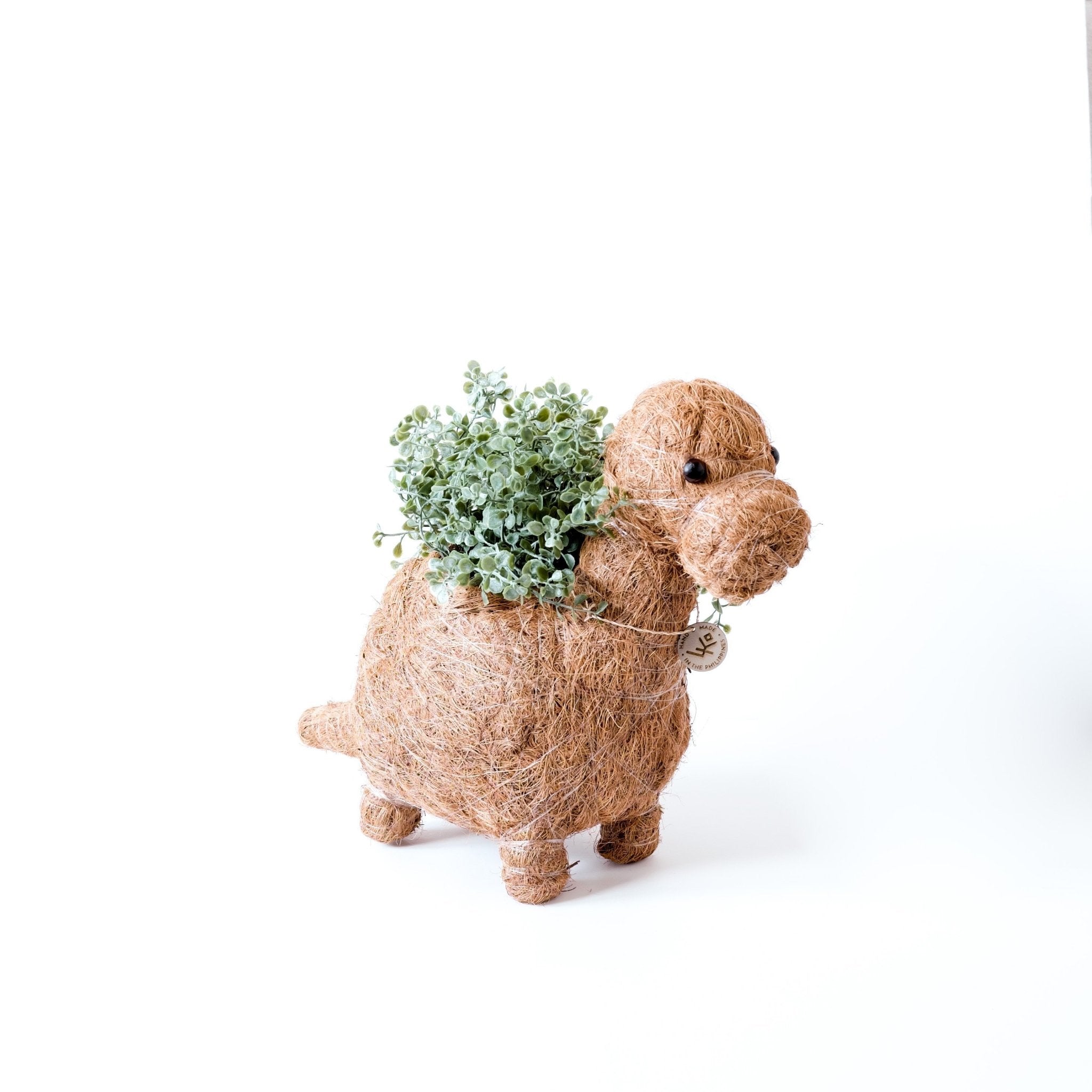Planters - Brontosaurus Planter - Coco Coir Pots | LIKHÂ - LIKHÂ
