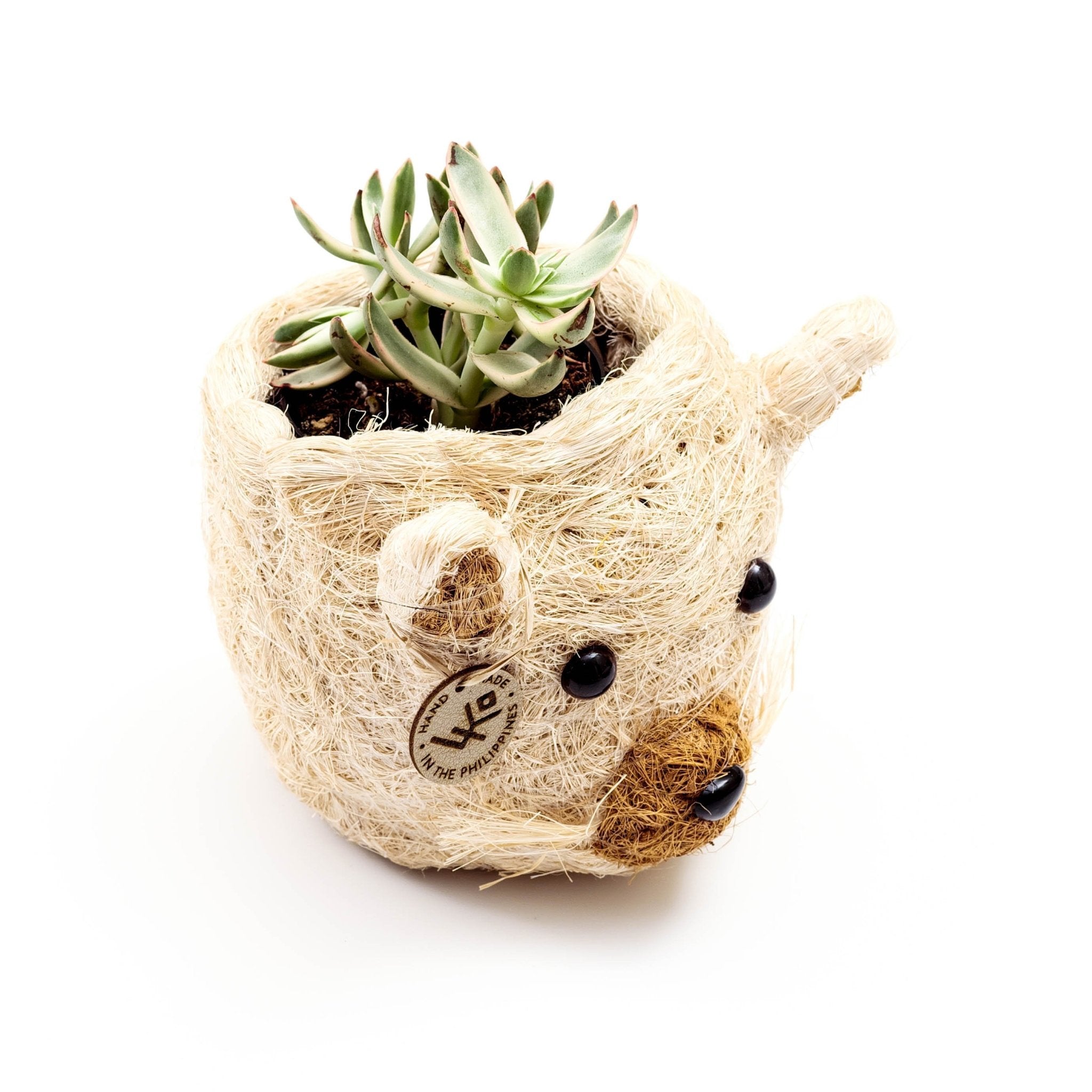 Planters - Cat Succulent Planter - Animal Head Planters | LIKHÂ - LIKHÂ