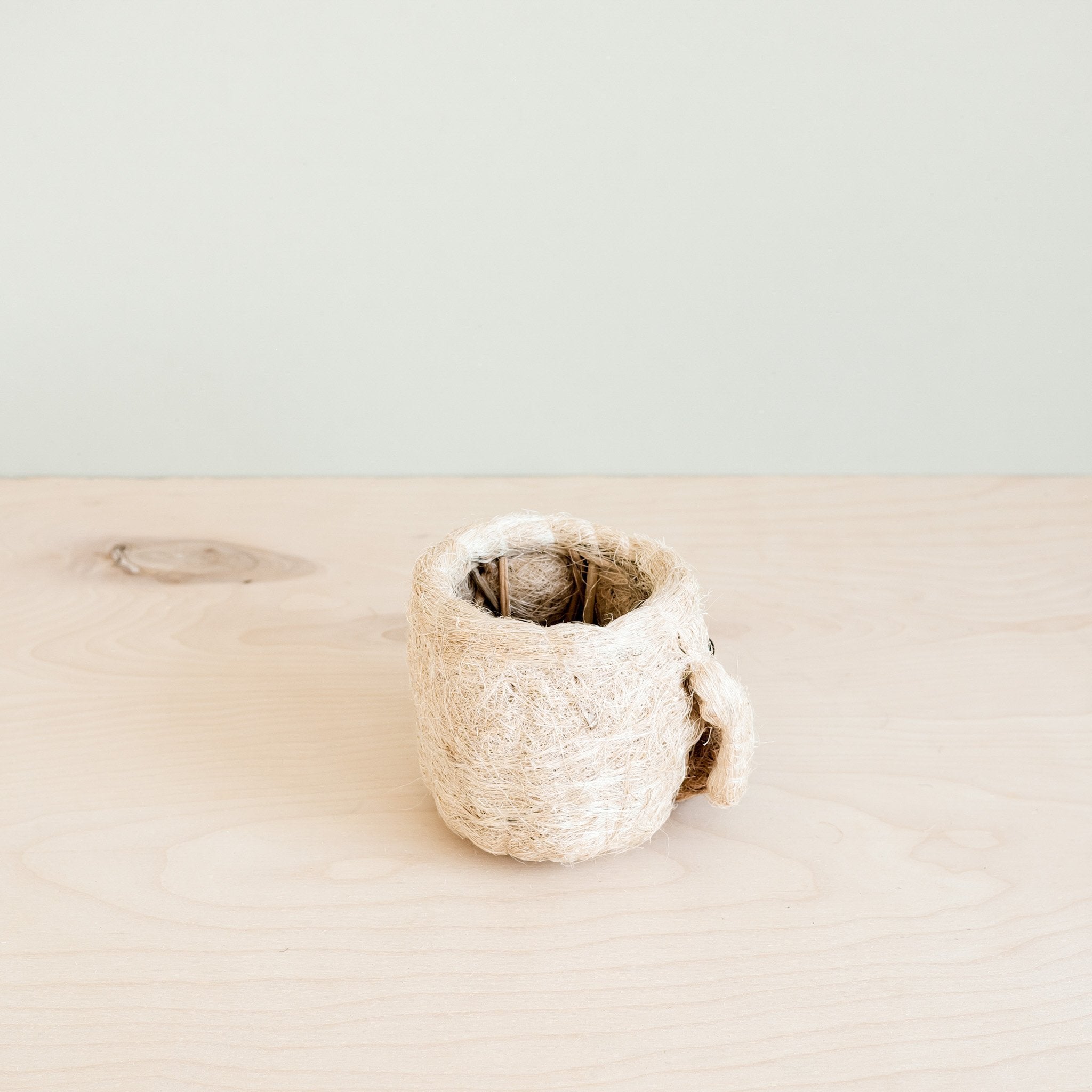 Planters - Dog Succulent Planter - Animal Head Plant Pot | LIKHÂ - LIKHÂ