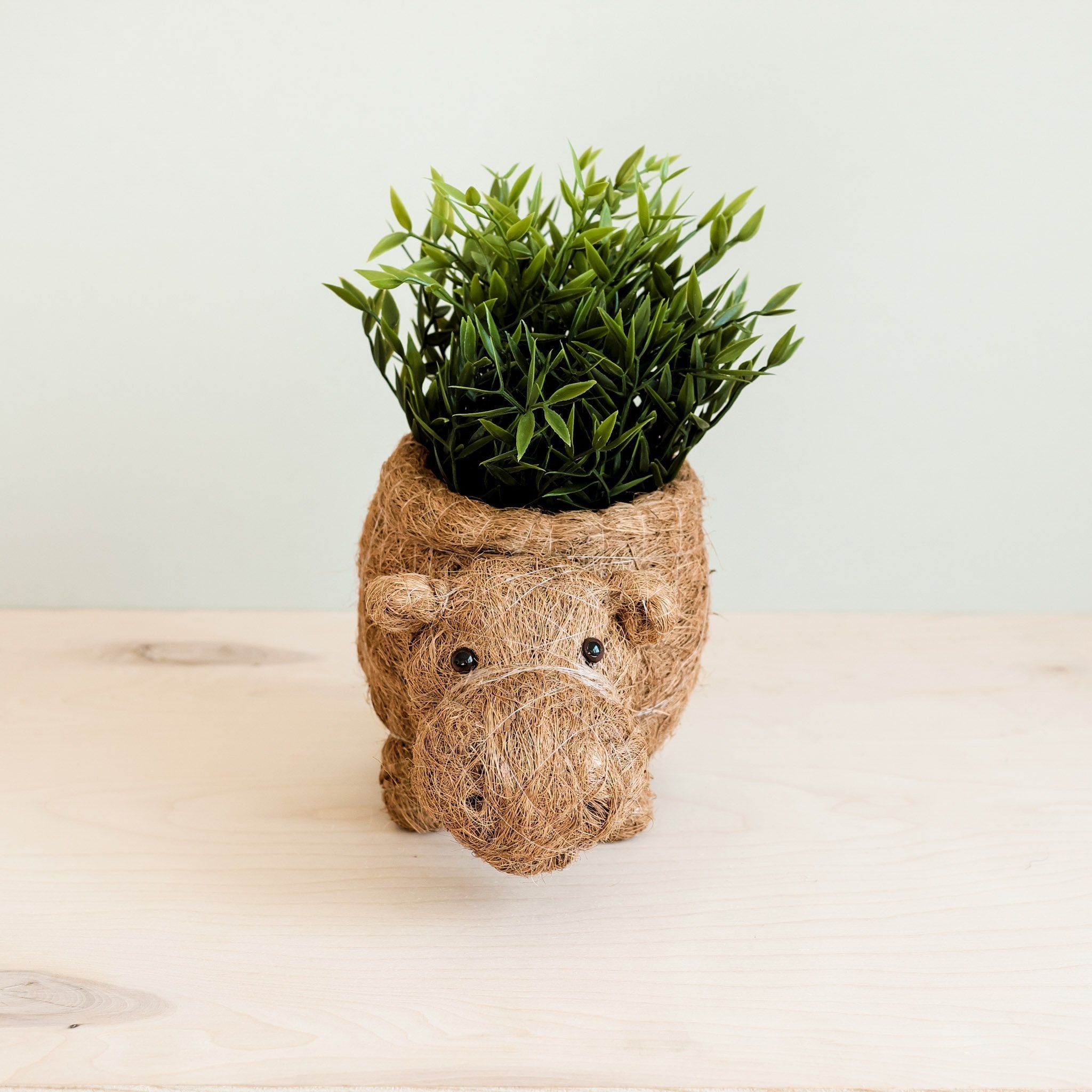 Planters - Hippo Planter - Coco Planter | LIKHÂ - LIKHÂ