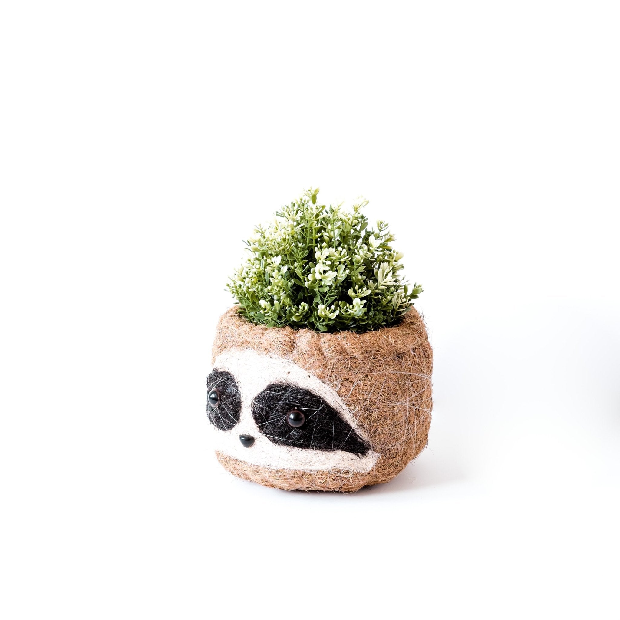Planters - Large three-tone Sloth - Coco Coir Pots (6 inch) | LIKHÂ - LIKHÂ