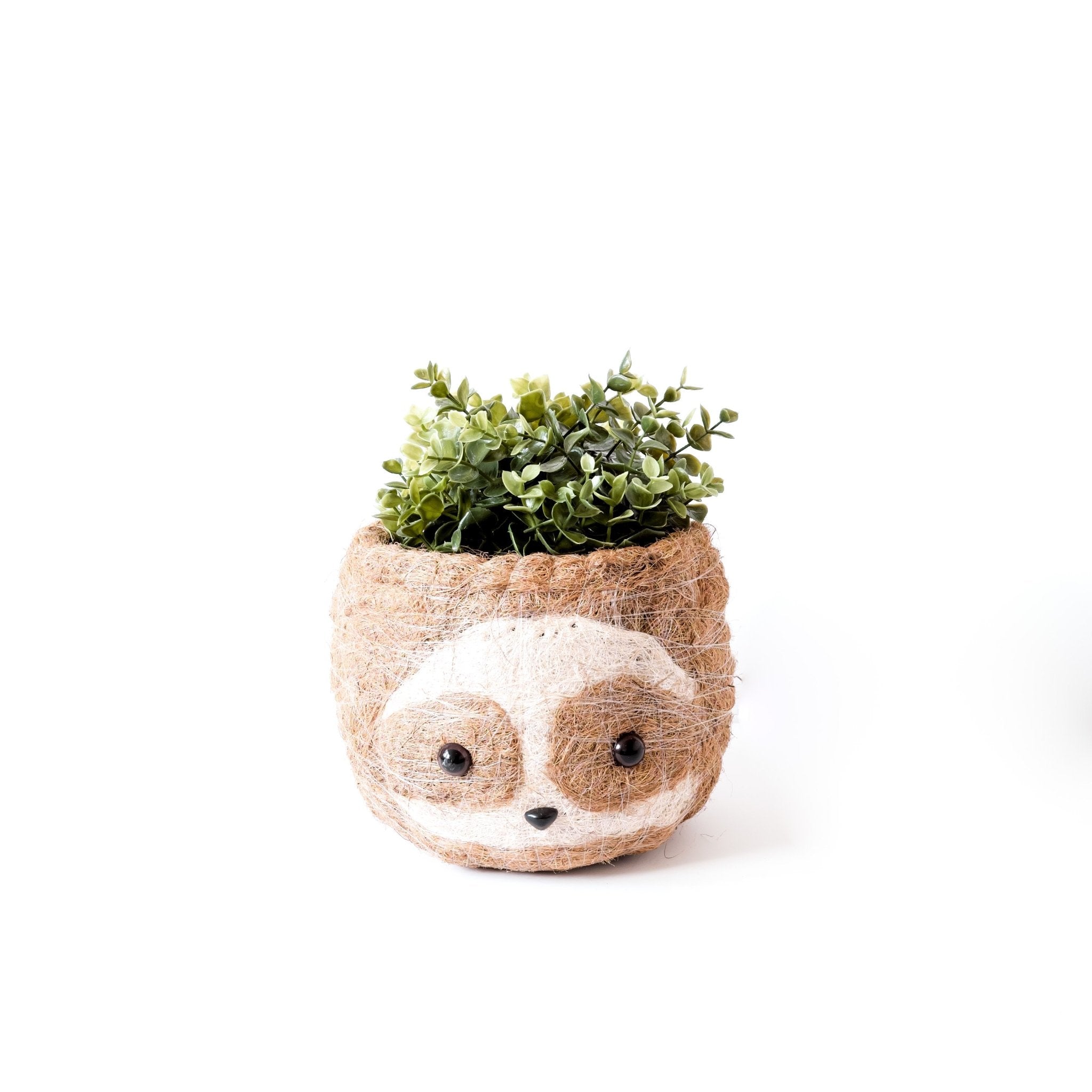 Planters - Large two-tone Sloth - Coco Coir Pots (6 inch) | LIKHÂ - LIKHÂ