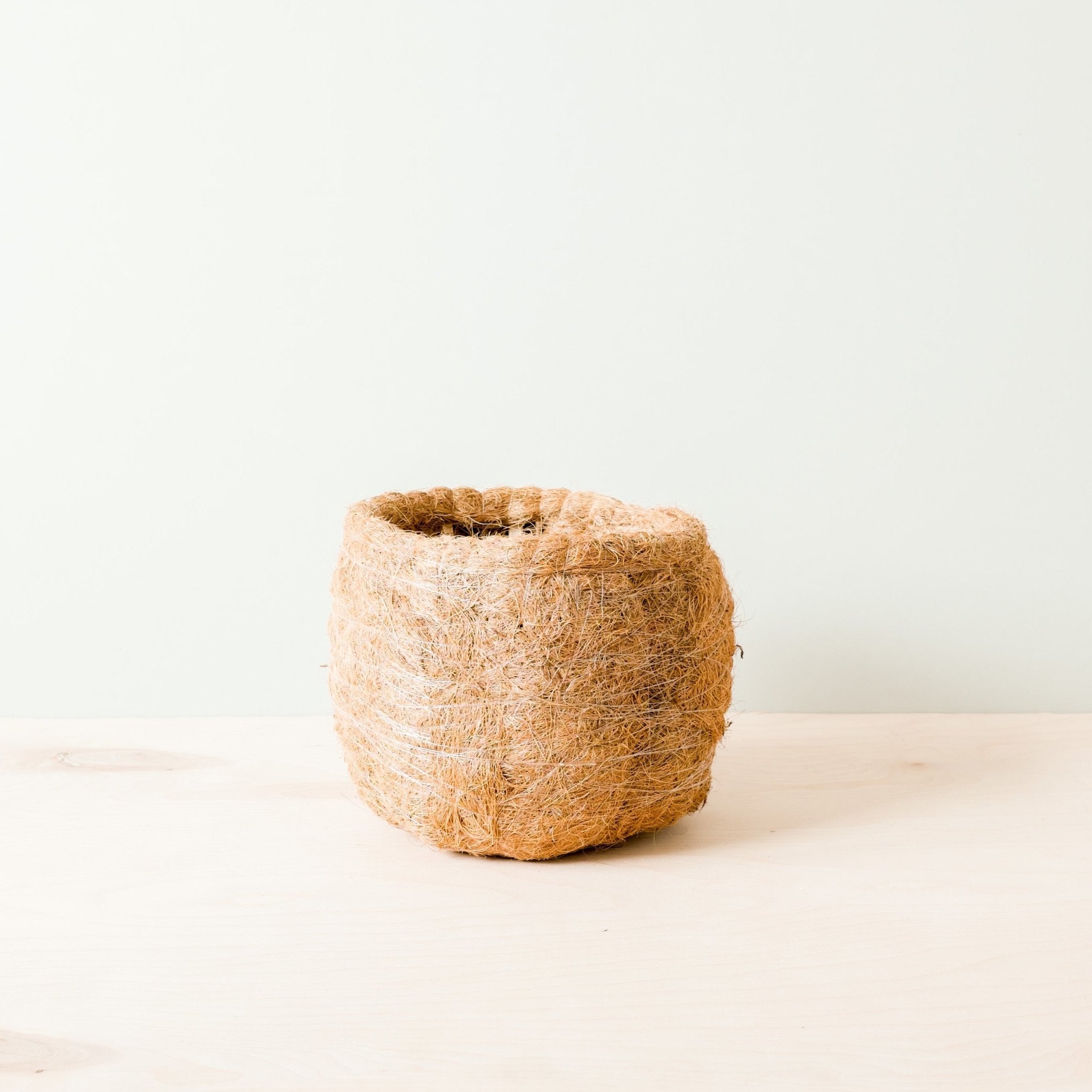 Planters - Large two-tone Sloth - Coco Coir Pots (6 inch) | LIKHÂ - LIKHÂ