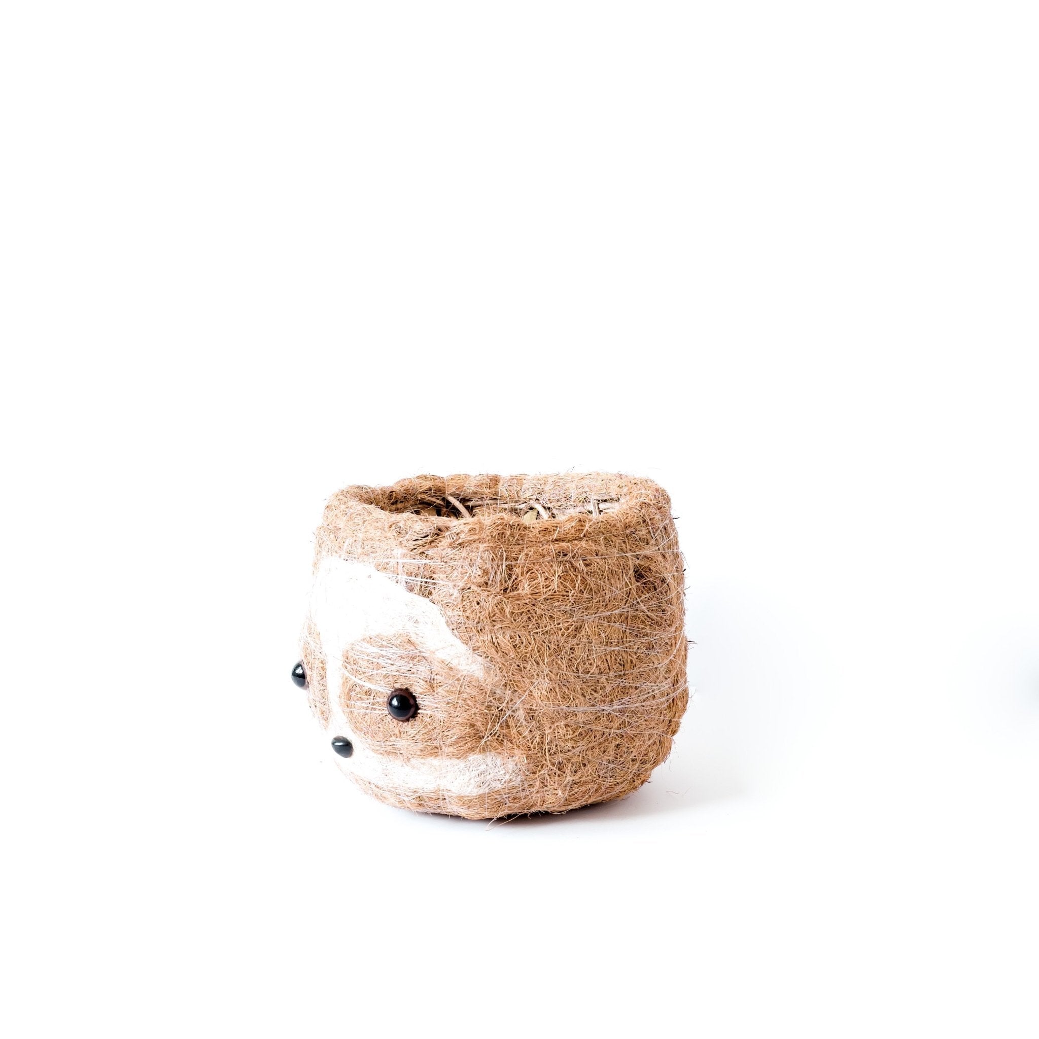 Planters - Large two-tone Sloth - Coco Coir Pots (6 inch) | LIKHÂ - LIKHÂ