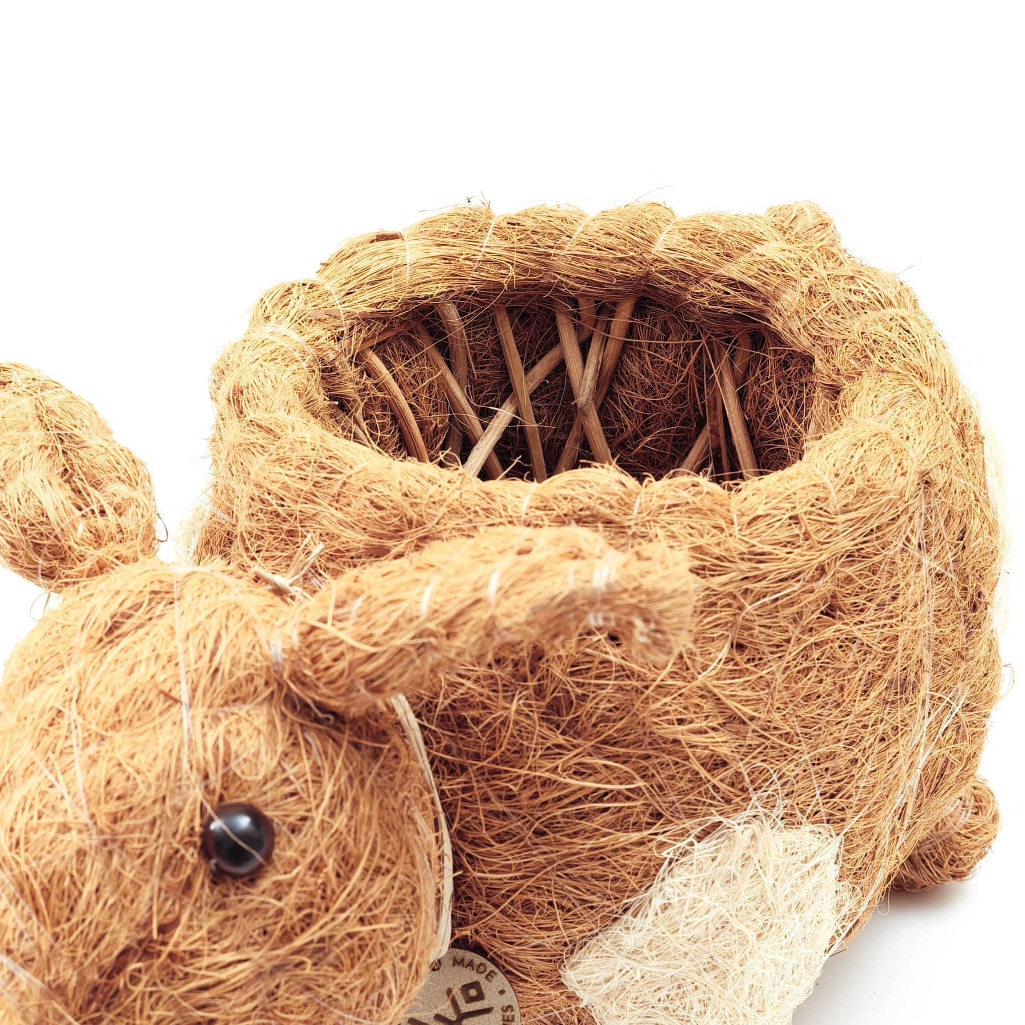 Planters - Pig Planter - Coco Coir Pots| LIKHÂ - LIKHÂ