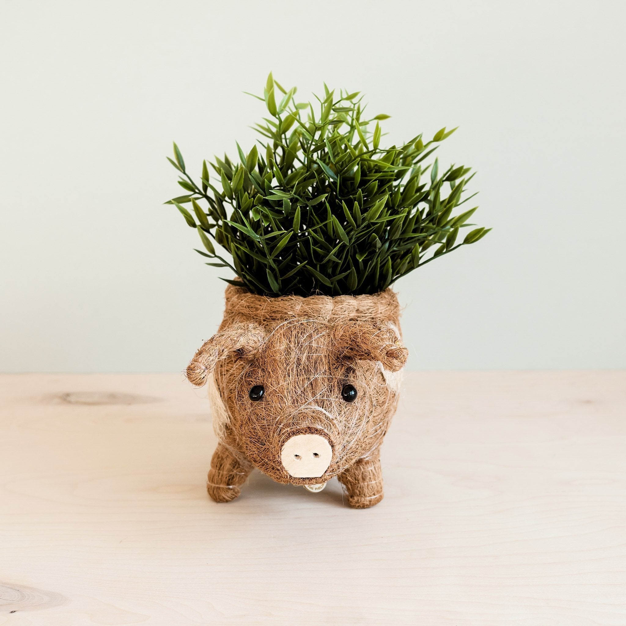Planters - Pig Planter - Coco Coir Pots| LIKHÂ - LIKHÂ