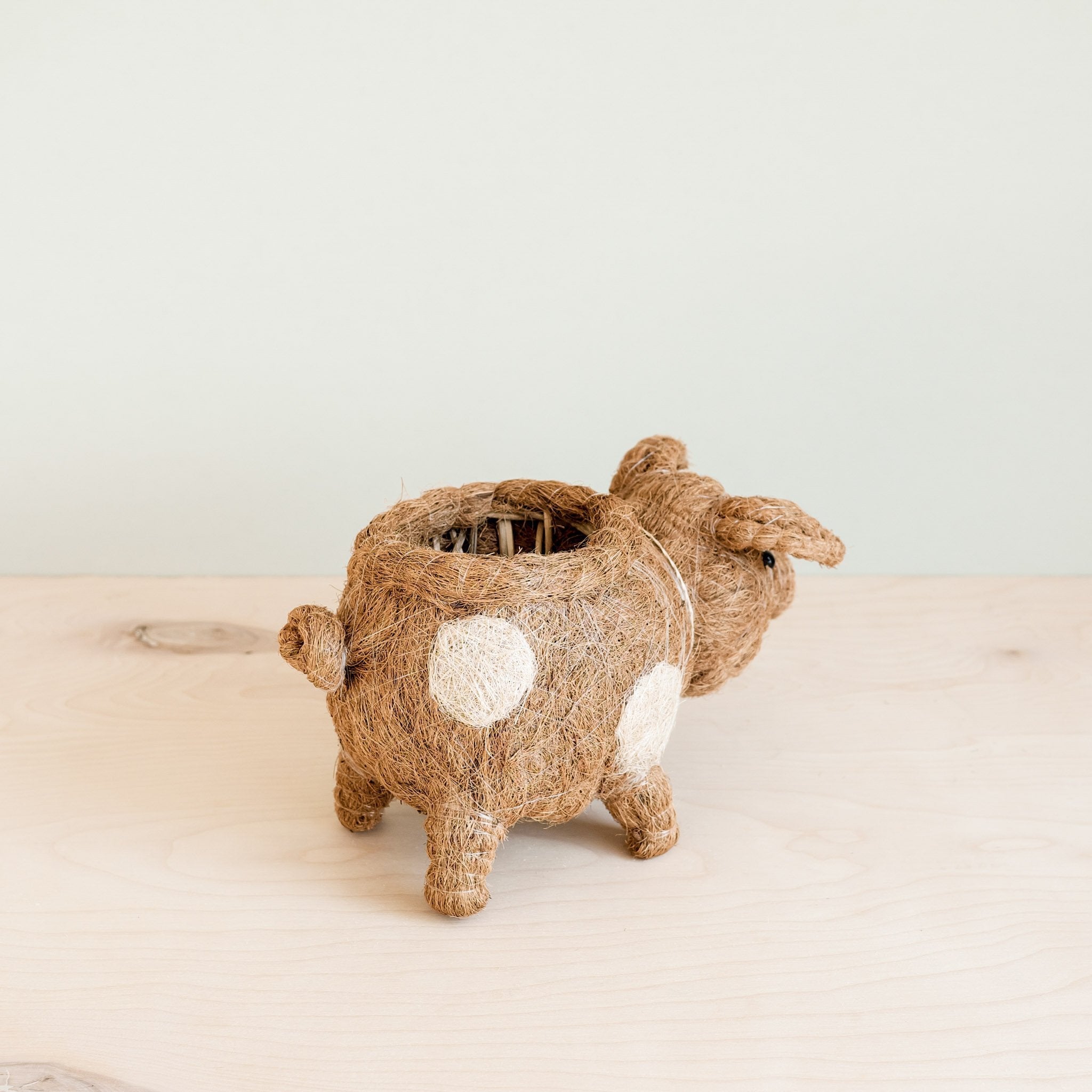 Planters - Pig Planter - Coco Coir Pots| LIKHÂ - LIKHÂ
