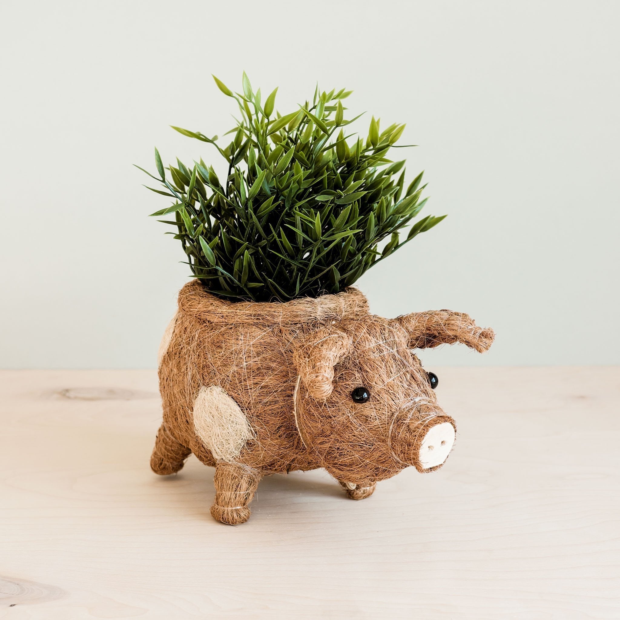 Planters - Pig Planter - Coco Coir Pots| LIKHÂ - LIKHÂ