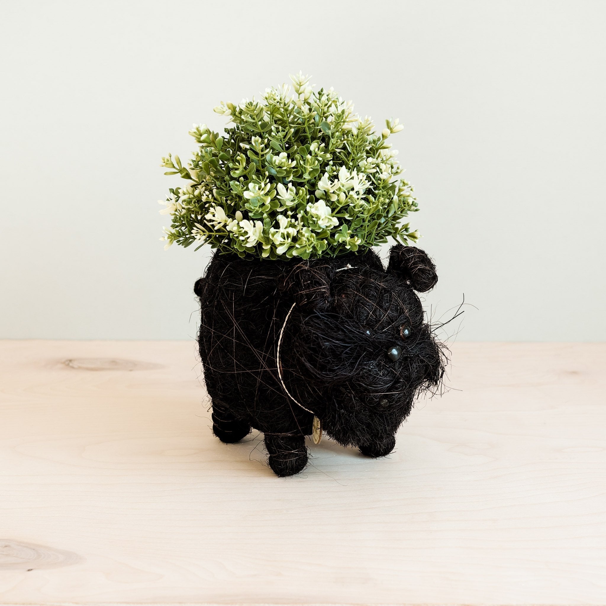 Planters - Schnauzer Planter - Coco Coir Pots | LIKHÂ - LIKHÂ