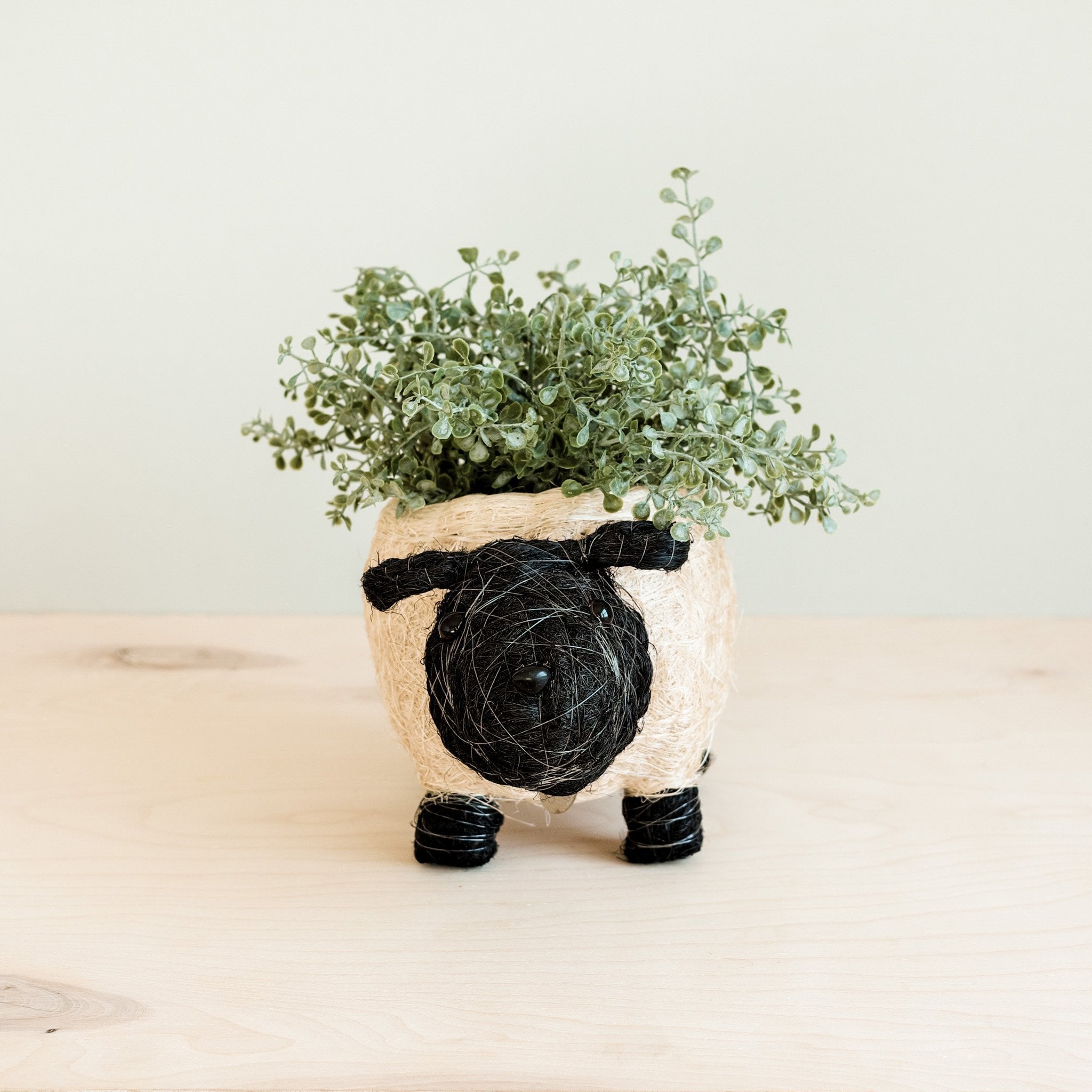 Planters - Sheep Planter - Coco Coir Pots | LIKHÂ - LIKHÂ