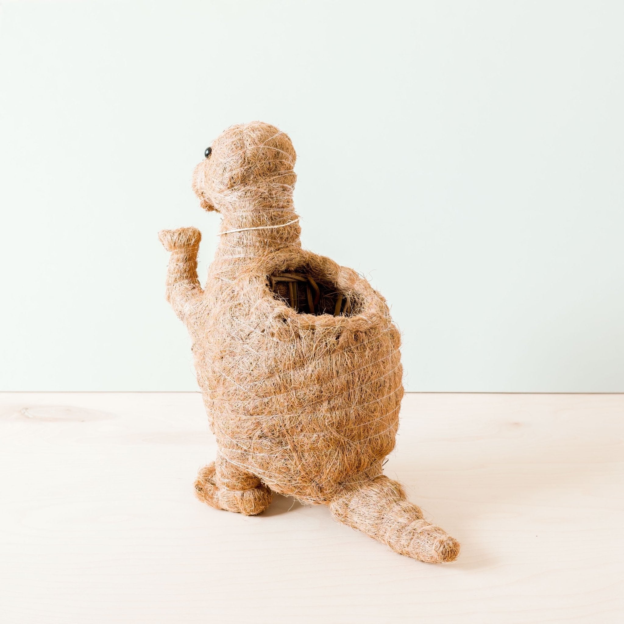 Planters - T-Rex Planter - Coco Coir Pots | LIKHÂ - LIKHÂ
