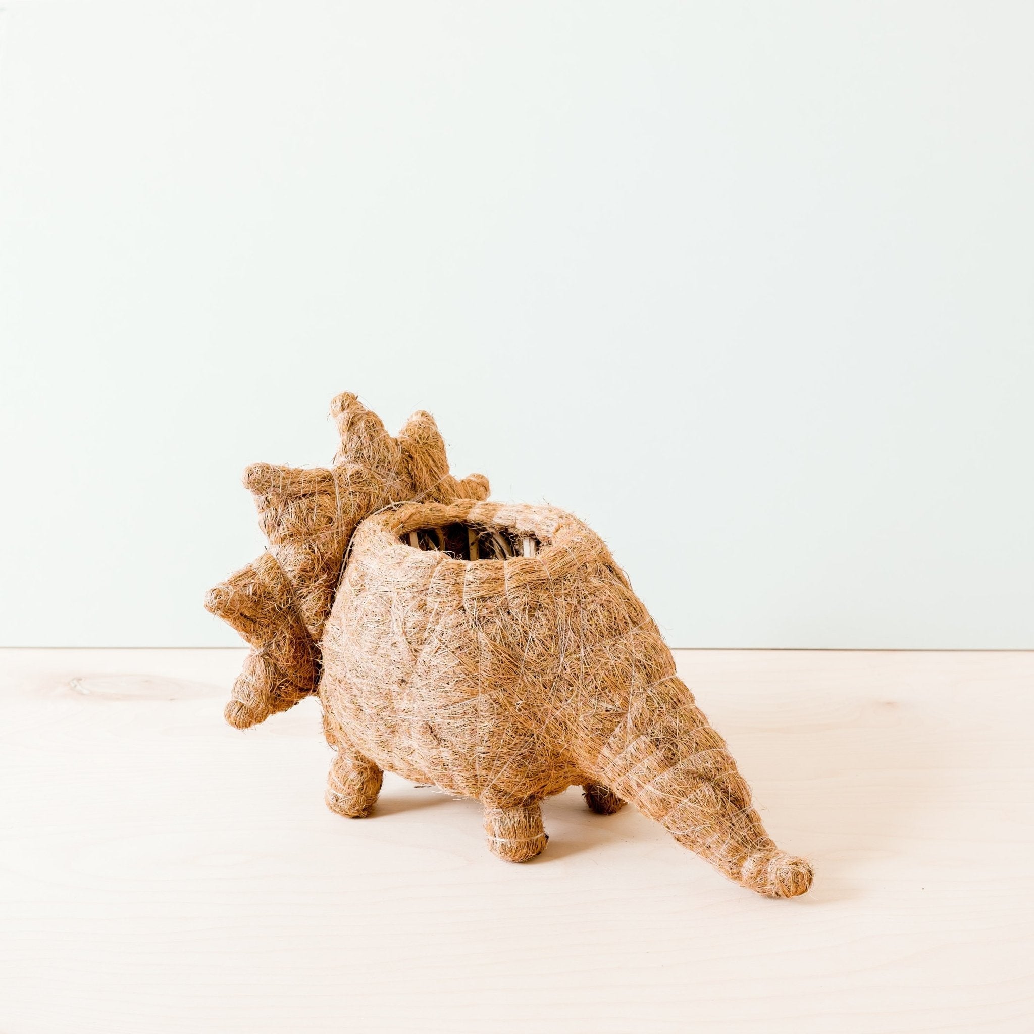 Planters - Triceratops Planter - Coco Coir Pots | LIKHÂ - LIKHÂ