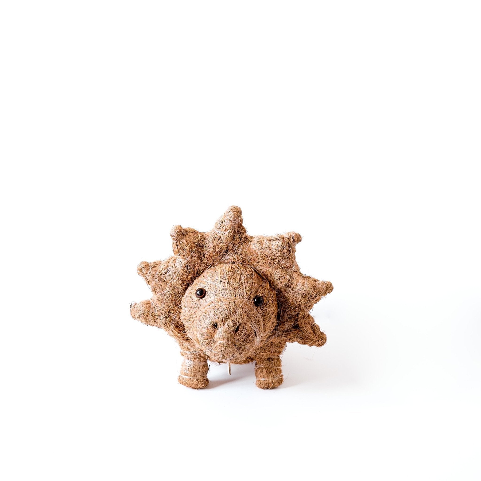 Planters - Triceratops Planter - Coco Coir Pots | LIKHÂ - LIKHÂ